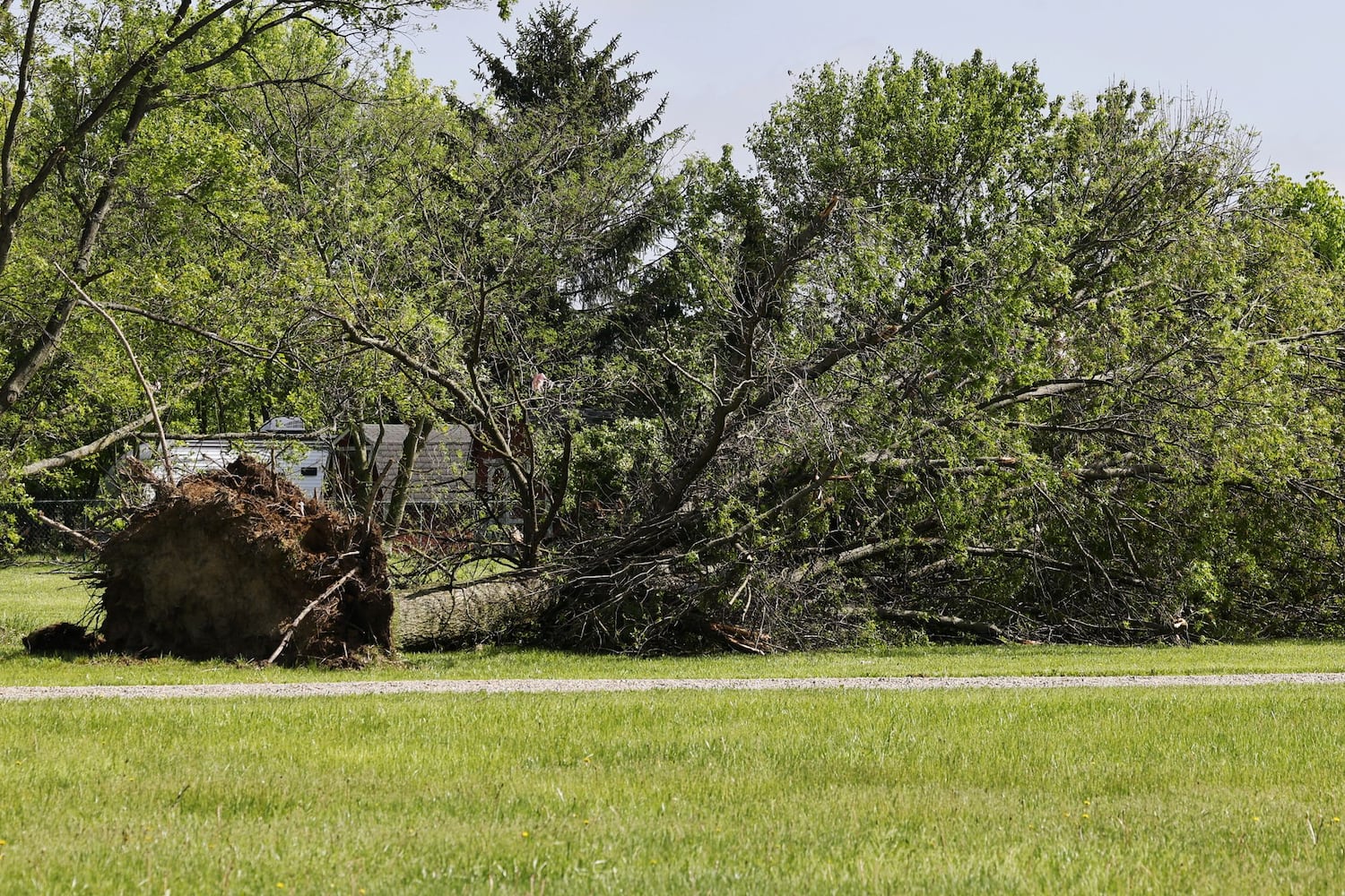 050824 storm damage