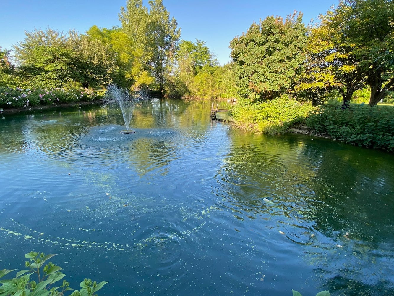 PHOTOS: Wild Hearts African Farm is a little slice of paradise