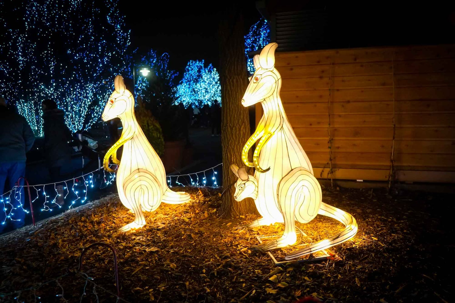 PHOTOS Cincinnati Zoo Festival of Lights 2019