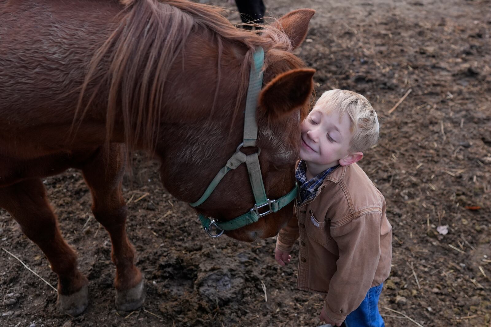 Isaac Young, 5, rests his cheek on the family horse Rusty's forehead during farm chores before homeschooling, Tuesday, Nov. 12, 2024, in Sunbury, Ohio. (AP Photo/Carolyn Kaster)