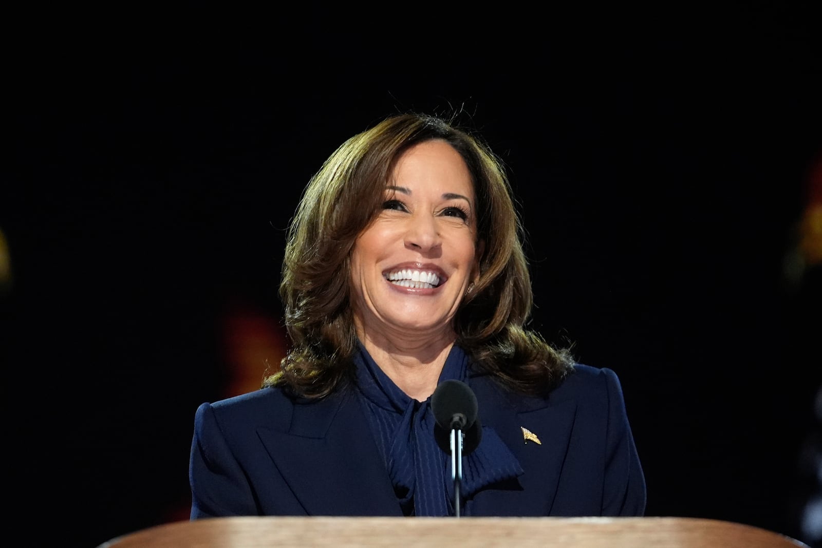 FILE – Vice President Kamala Harris, the Democratic presidential nominee, speaks at the 2024 Democratic National Convention, Aug. 22, 2024 in Chicago. (AP Photo/Paul Sancya, File)