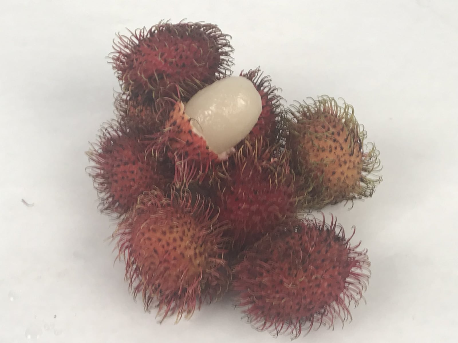 Rambutan