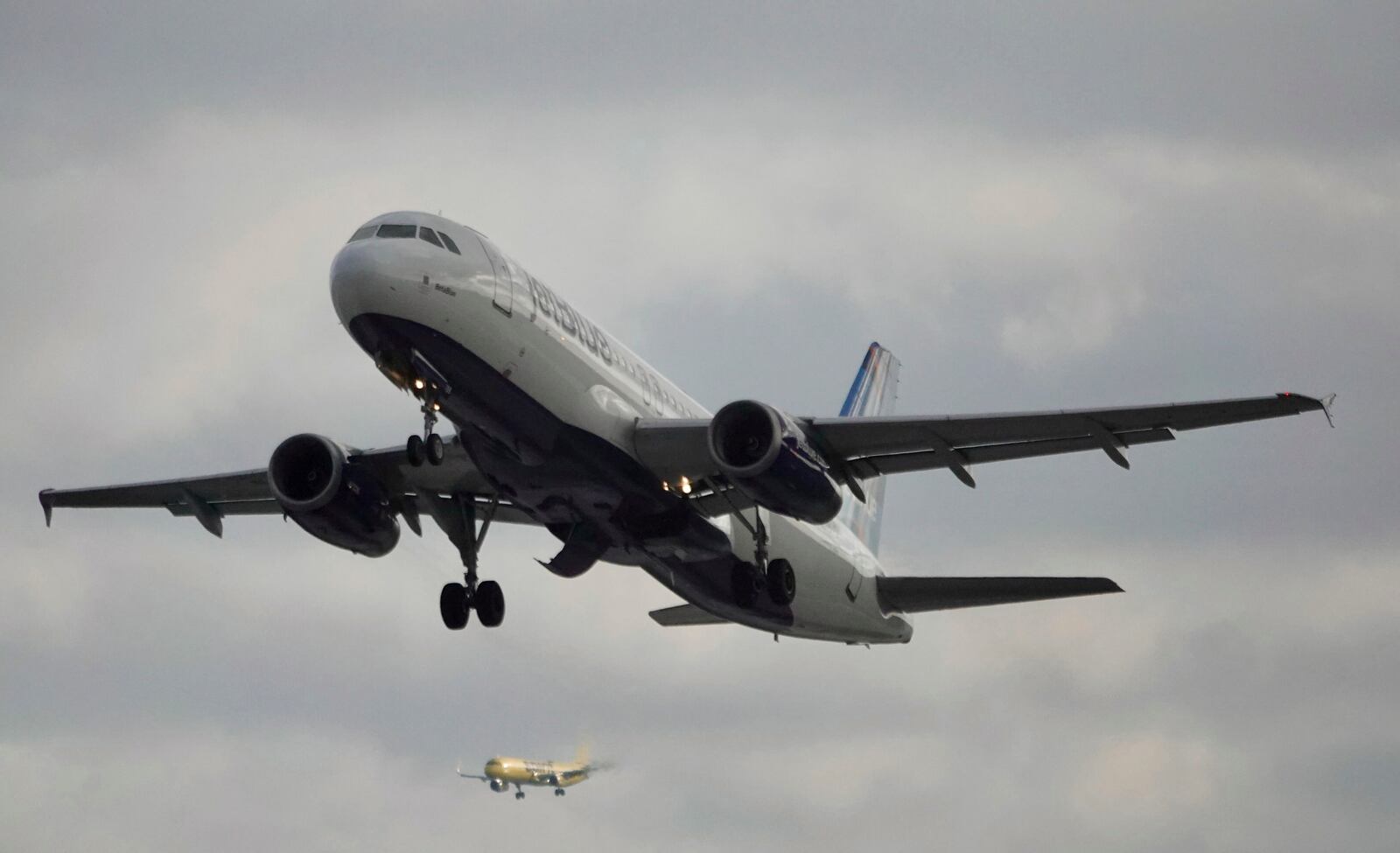 A JetBlue plane takes off from Fort Lauderdale-Hollywood International Airport on Tuesday, Jan. 7, 2025. (Joe Cavaretta/South Florida Sun-Sentinel via AP)