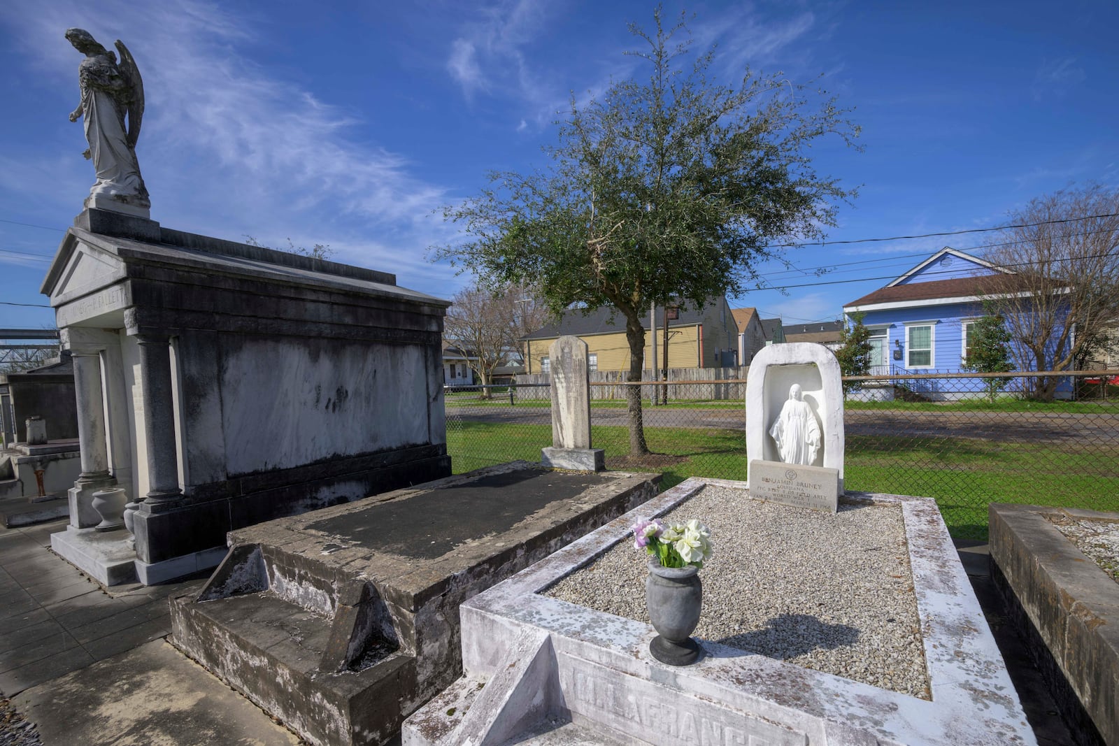 A row of trees planted by SOUL (Sustaining Our Urban Landscape), is visible by a cemetery in the Algiers neighborhood on the west bank of the Mississippi River in New Orleans, Thursday, Feb. 27, 2025. (AP Photo/Matthew Hinton)