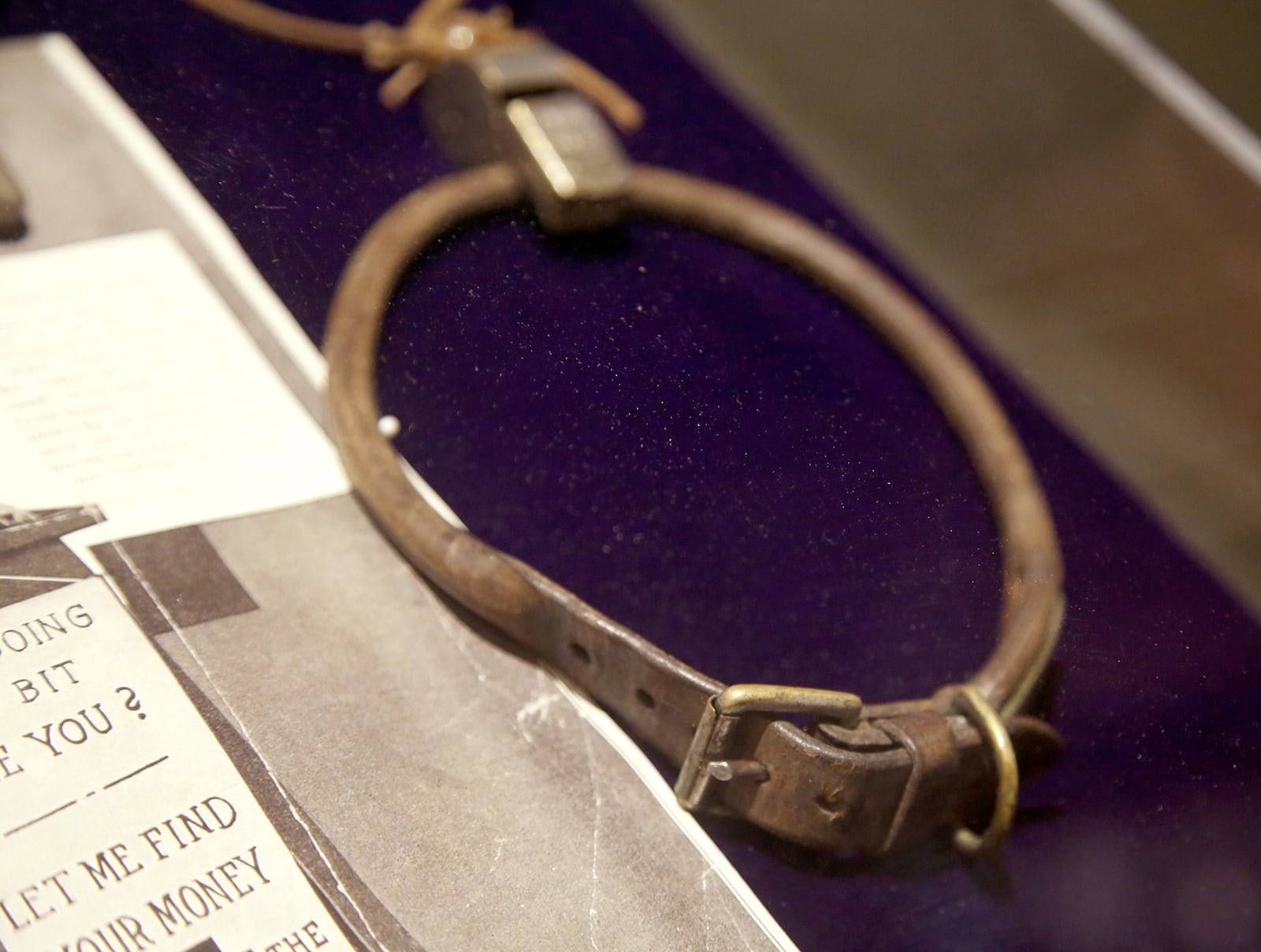 The dog collar for Dave, a dog owned by Annie Oakley and her husband Frank Butler, is on display at The Annie Oakley Center at the Garst Museum in Greenville. The dog had nerves of steel and became part of an act to raise money for the Red Cross during World War I. He sat like a statue on top of stool while Oakley took aim and shot an apple off his head. LISA POWELL / STAFF