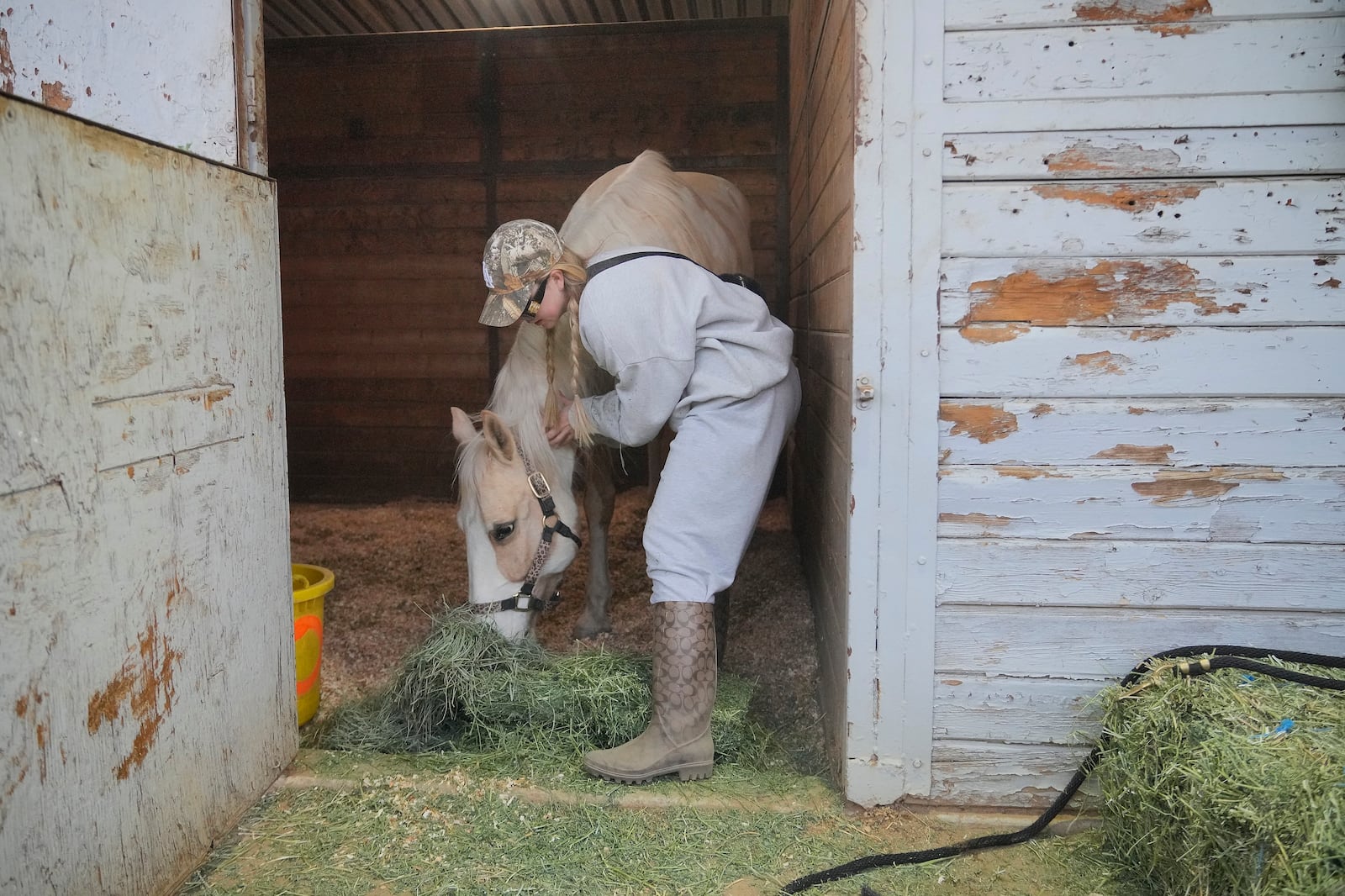 Horse owner Rachel Granger pets "Cashew," who originally stabled at the now closed Malibu Zad Ranch, and was evacuated due to the fires to the Los Angeles Equestrian Center, in Burbank, Calif., Thursday, Jan. 9, 2025. (AP Photo/Damian Dovarganes)