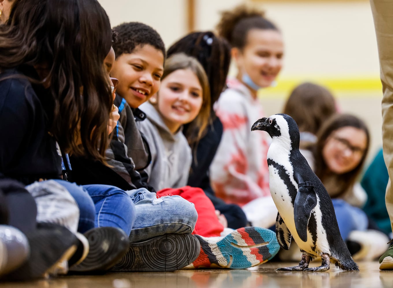 030122 penguin at Creekview elementary