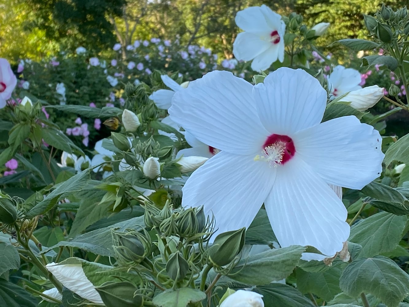 PHOTOS: Wild Hearts African Farm is a little slice of paradise