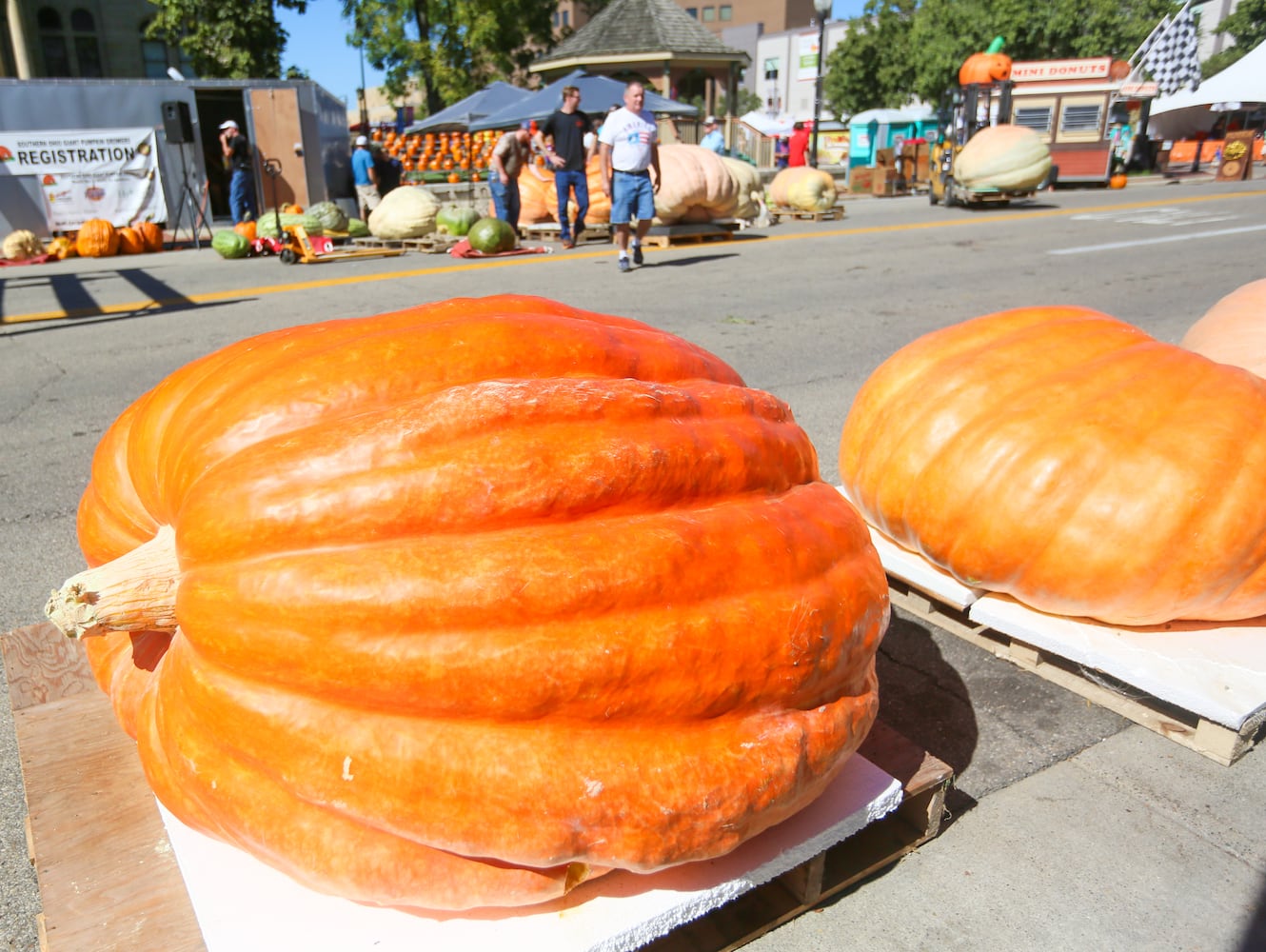 PHOTOS Operation Pumpkin through the years.