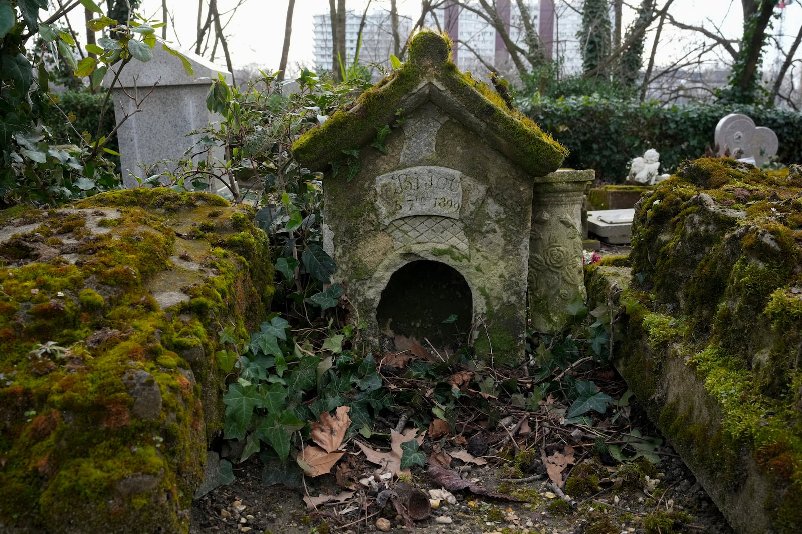 A grave at the pet cemetery of Asnieres-sur-Seine, west of Paris, Friday, Feb. 21, 2025. (AP Photo/Michel Euler)