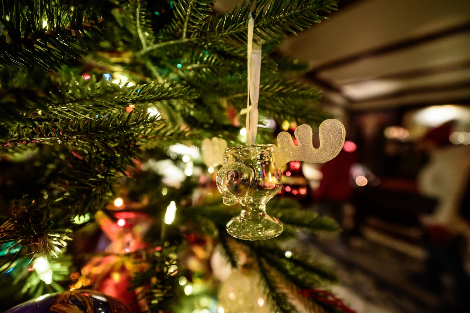 PHOTOS: South Main Candlelight Tour of Homes in Middletown