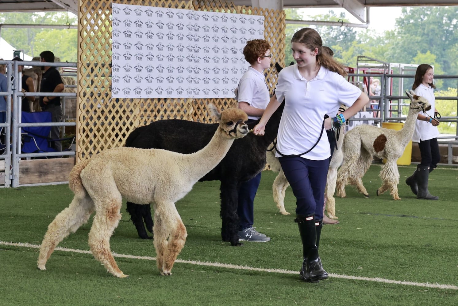 071923 Warren County Fair