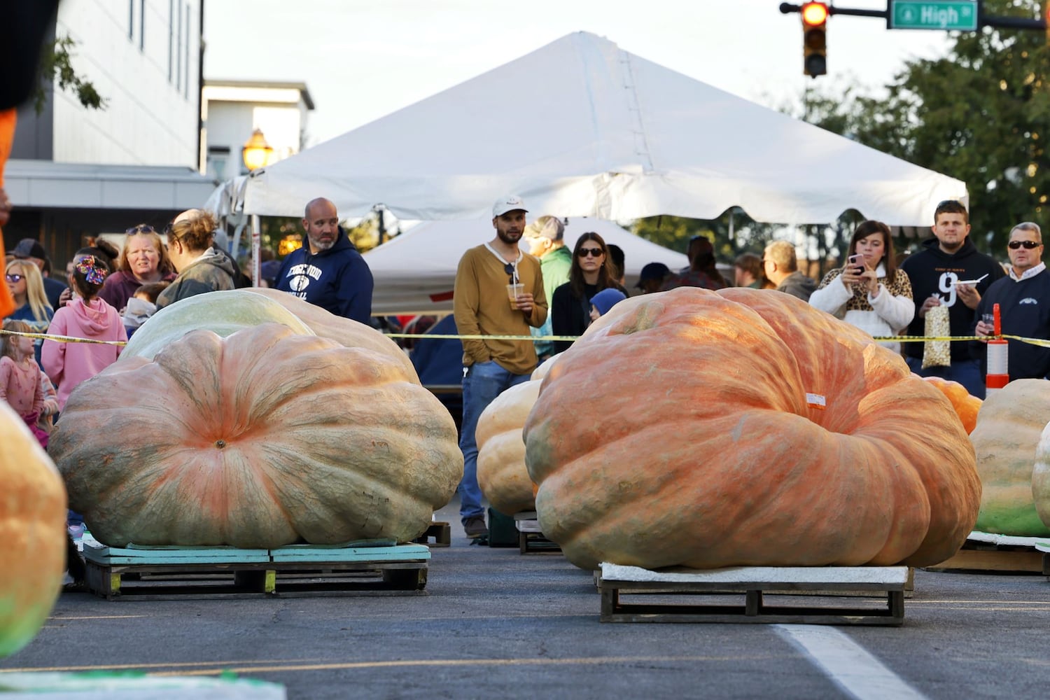 100822 Operation Pumpkin