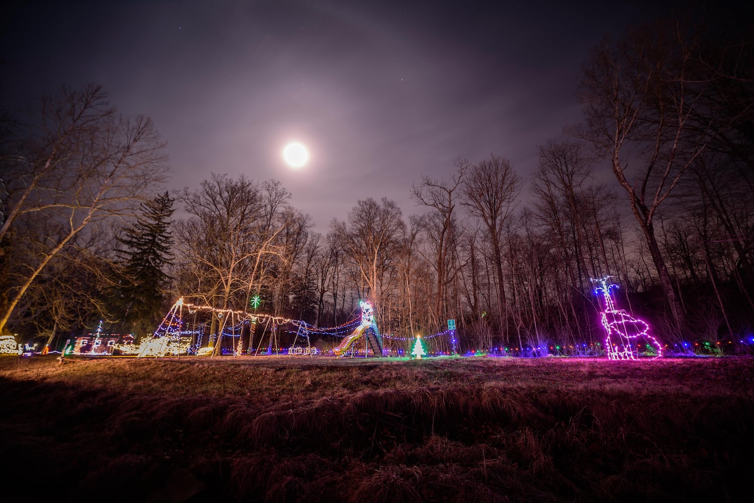 PHOTOS: Fort Saint Clair Whispering Christmas light display in Eaton