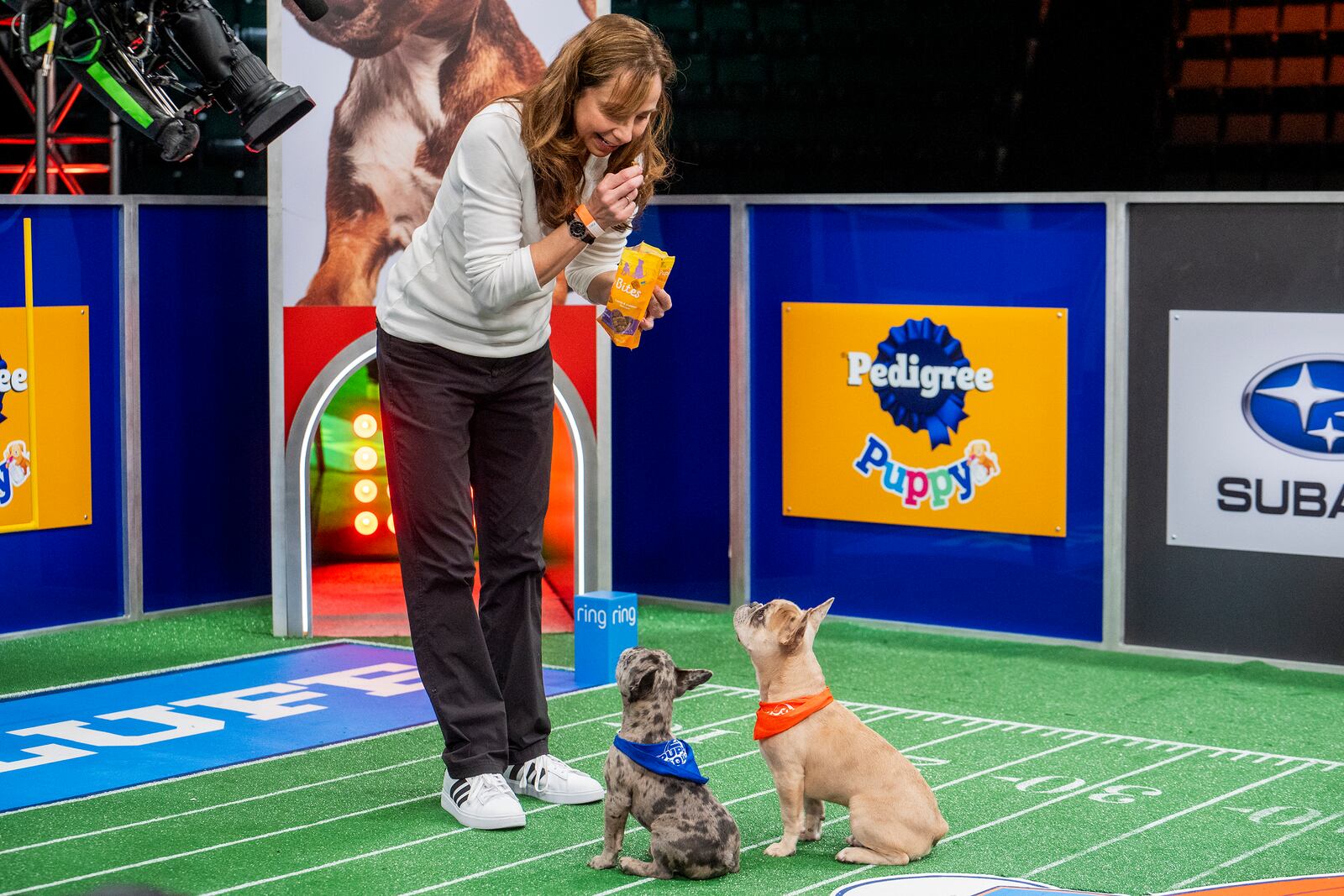 This image released by Animal Planet/Warner Bros. Discovery shows animal expert Victoria Schade interacting with dogs on the set of "Puppy Bowl XXI," airing Sunday. (Animal Planet/Warner Bros. Discovery via AP)