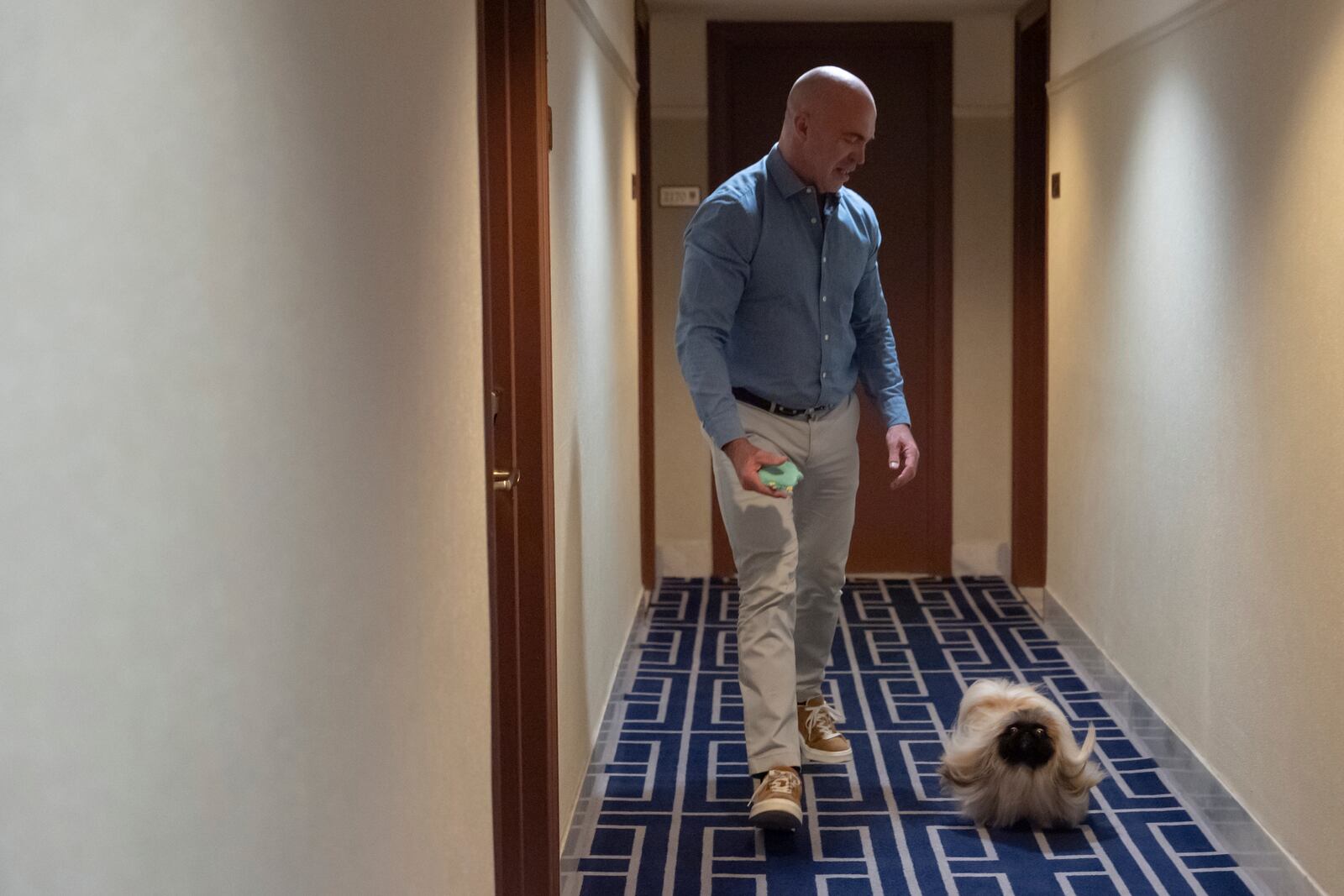 President of the Westminster Kennel Club Donald Sturz shows Fiona, his pet pekingese, during an interview with The Associated Press at The New Yorker hotel, Thursday, Jan. 30, 2025, in New York. (AP Photo/Julia Demaree Nikhinson)