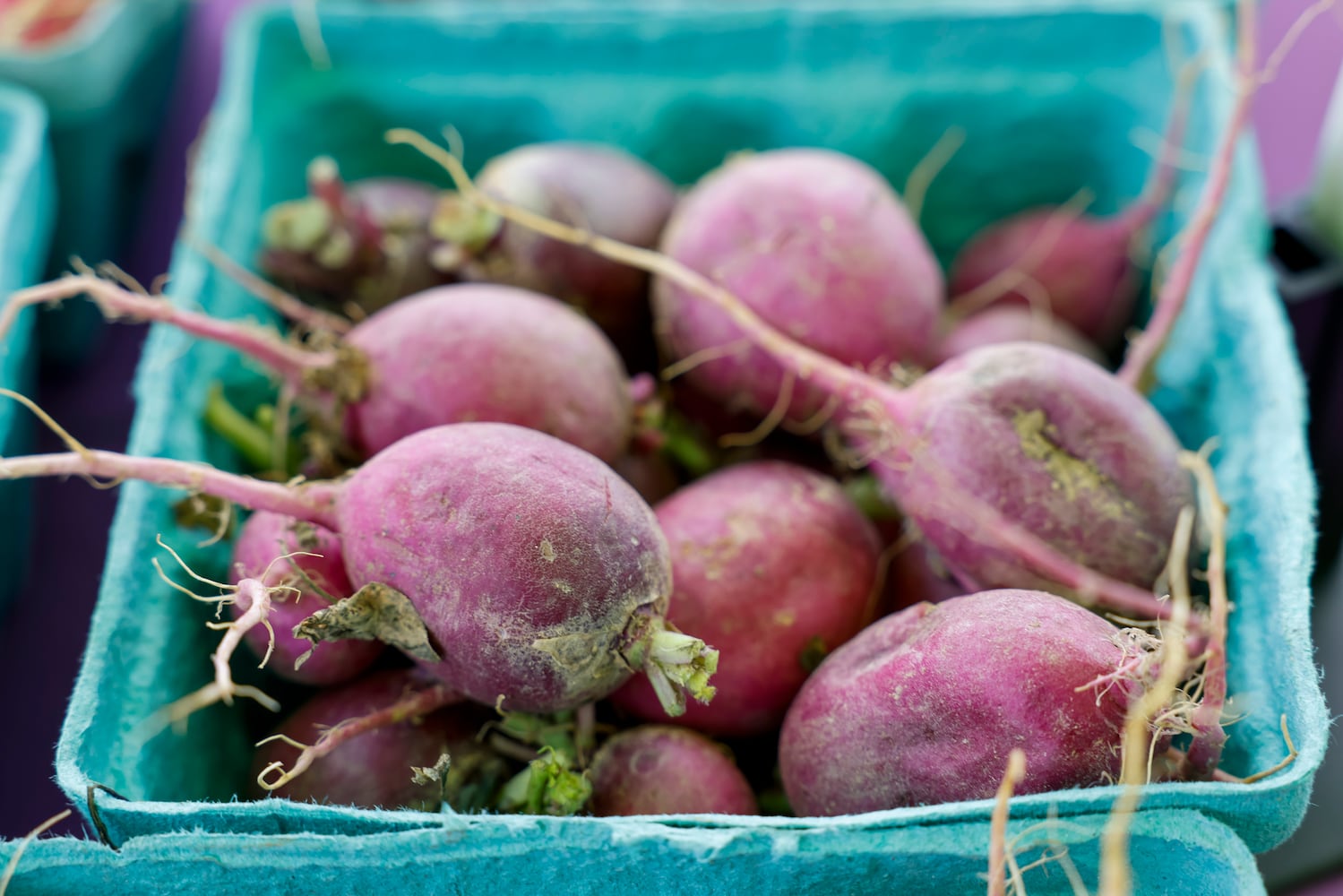 061423 Middletown Farmers Market