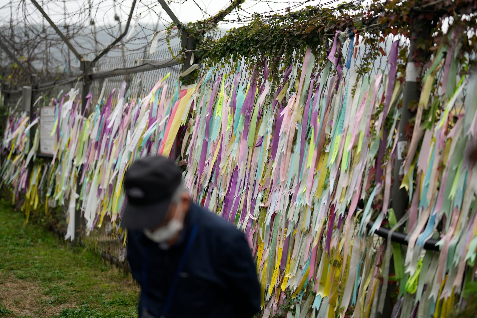 A visitor walks near a wire fence decorated with ribbons written with messages wishing for the reunification of the two Koreas at the Imjingak Pavilion in Paju, South Korea, Tuesday, Oct. 15, 2024. (AP Photo/Lee Jin-man)