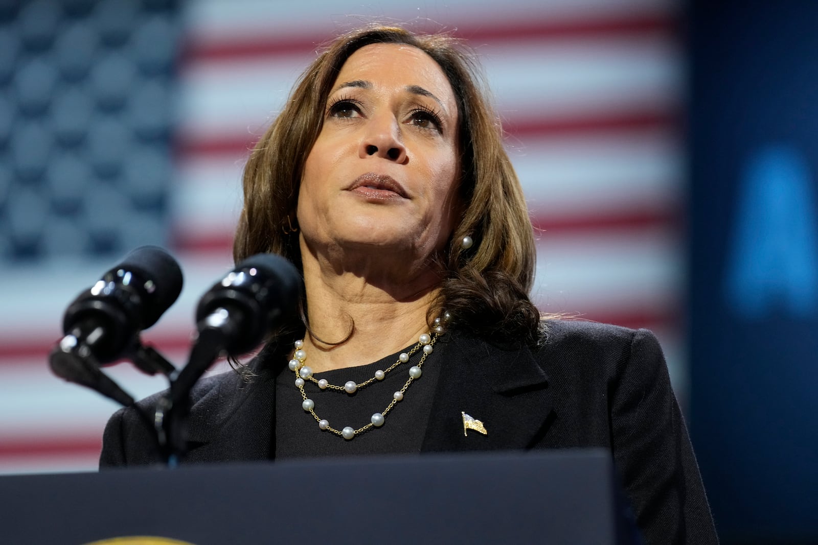 Democratic presidential nominee Vice President Kamala Harris speaks during a campaign rally at Erie Insurance Arena, in Erie, Pa., Monday, Oct. 14, 2024. (AP Photo/Jacquelyn Martin)