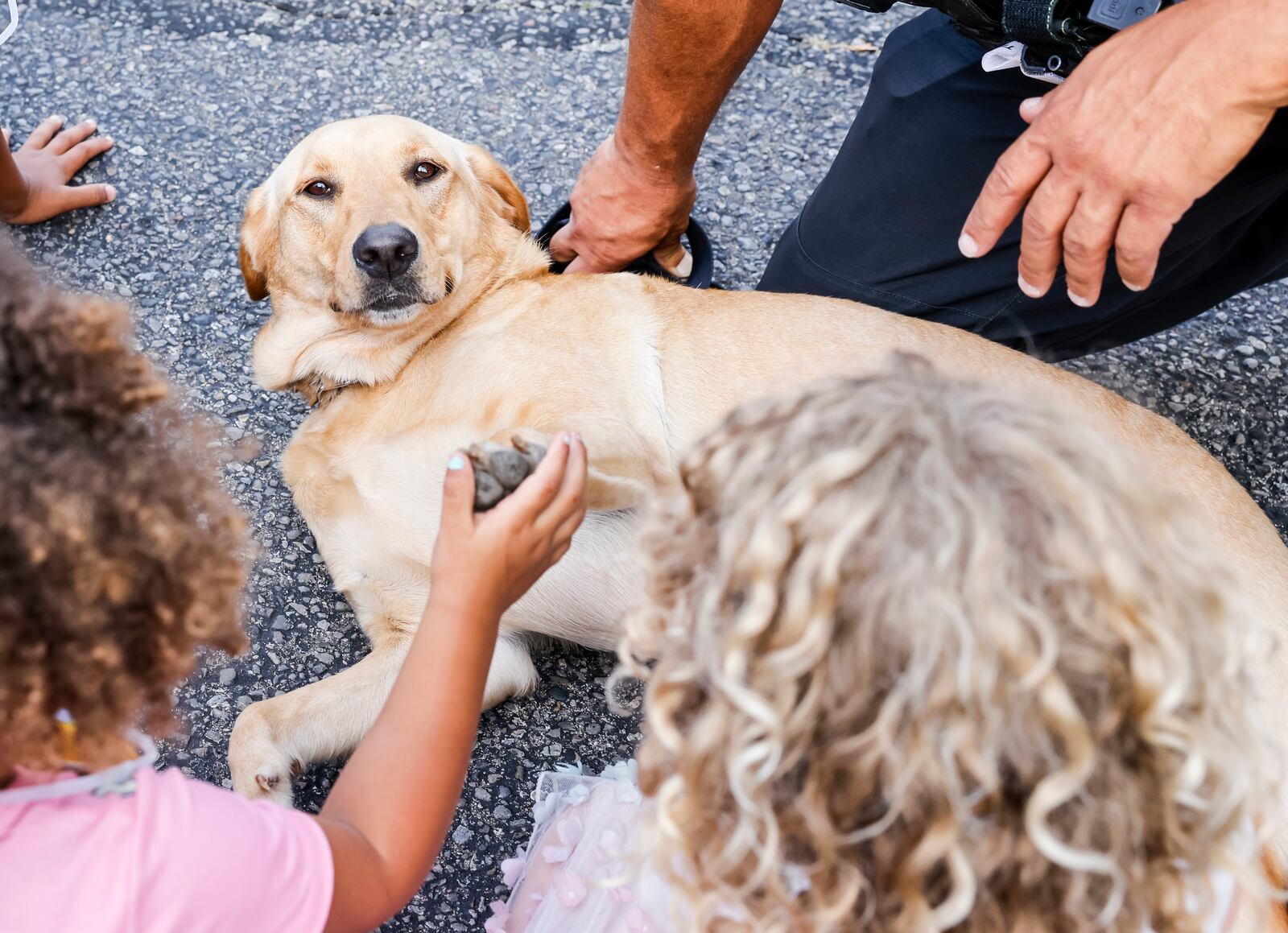 Hamilton Police Officer Rodney Wilson shows off his new therapy dog, Gloria, during an open house for Hamilton Police Department Thursday, Aug. 3, 2023. NICK GRAHAM/STAFF