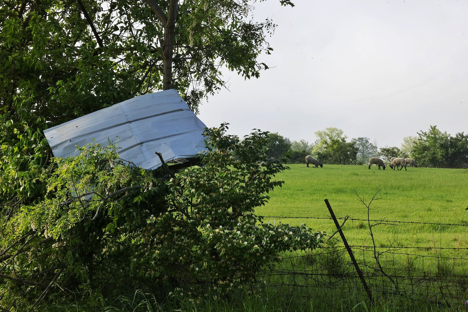 050824 storm damage