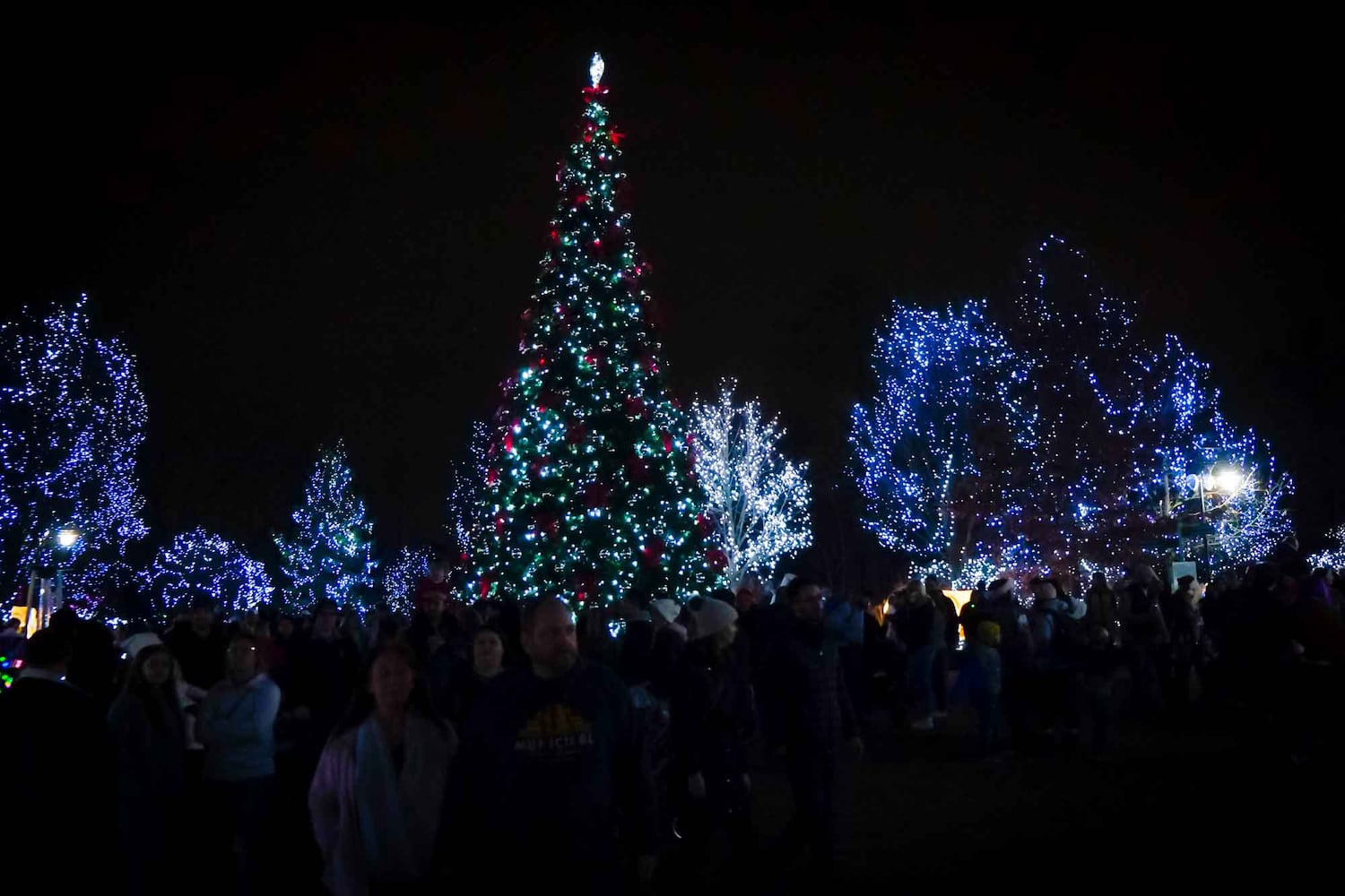 PHOTOS Cincinnati Zoo Festival of Lights 2019