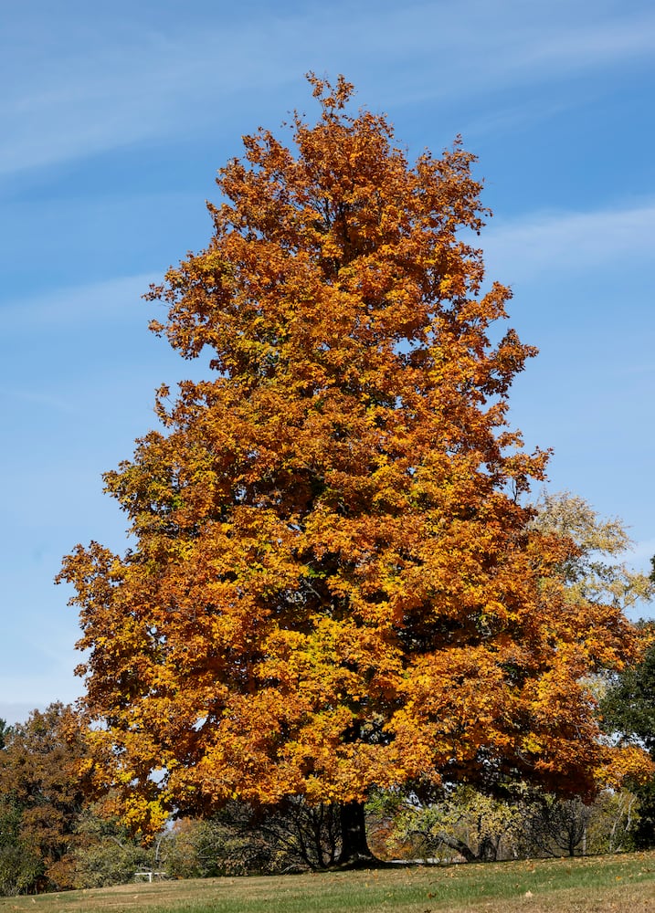 102622 fall colors butler county