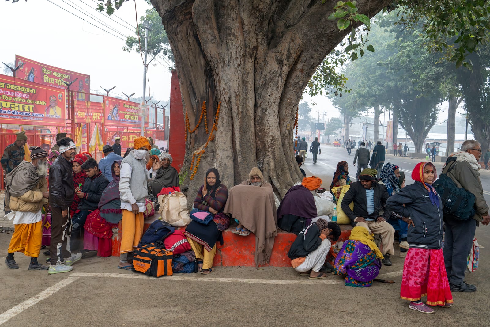 Pilgrims take shelter from the rain under a peepal tree by the side of a road, a day before the Maha Kumbh festival, in Prayagraj, India, Sunday, Jan. 12, 2025. (AP Photo/Ashwini Bhatia)