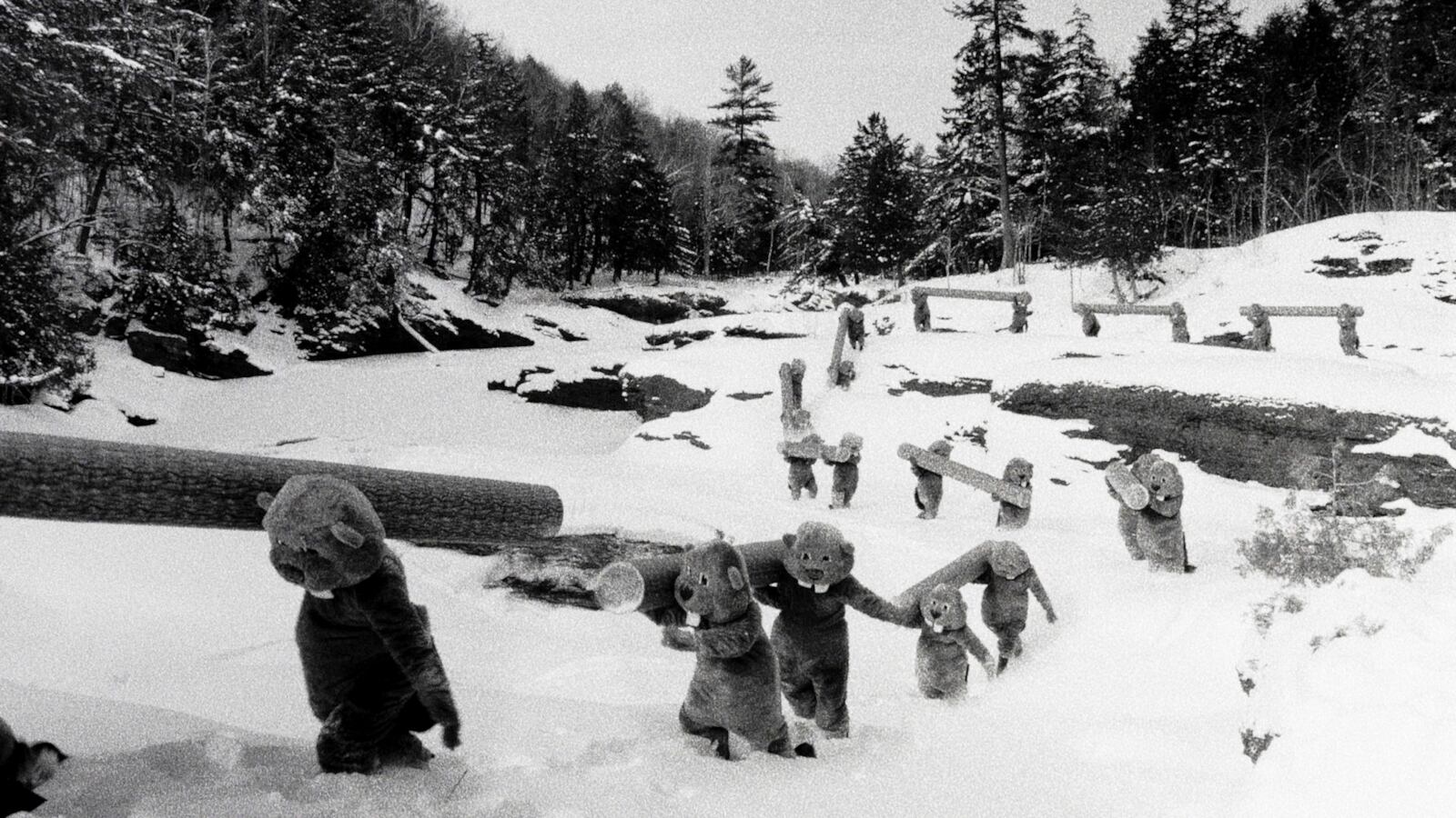 This image released by SRH shows a scene from the film "Hundreds of Beavers." (SRH via AP)