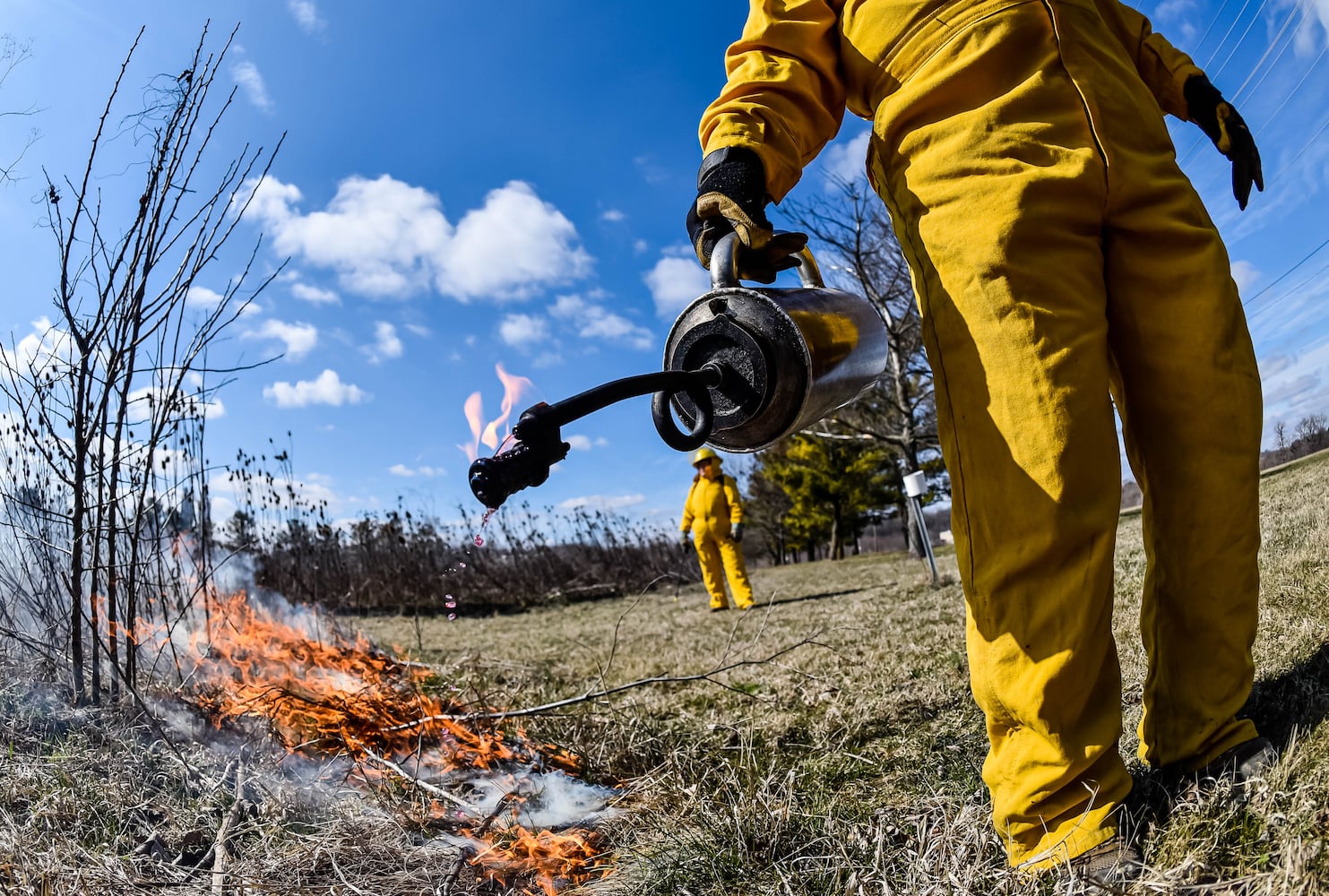 Controlled burns at Riverside Natural Area in Hamilton