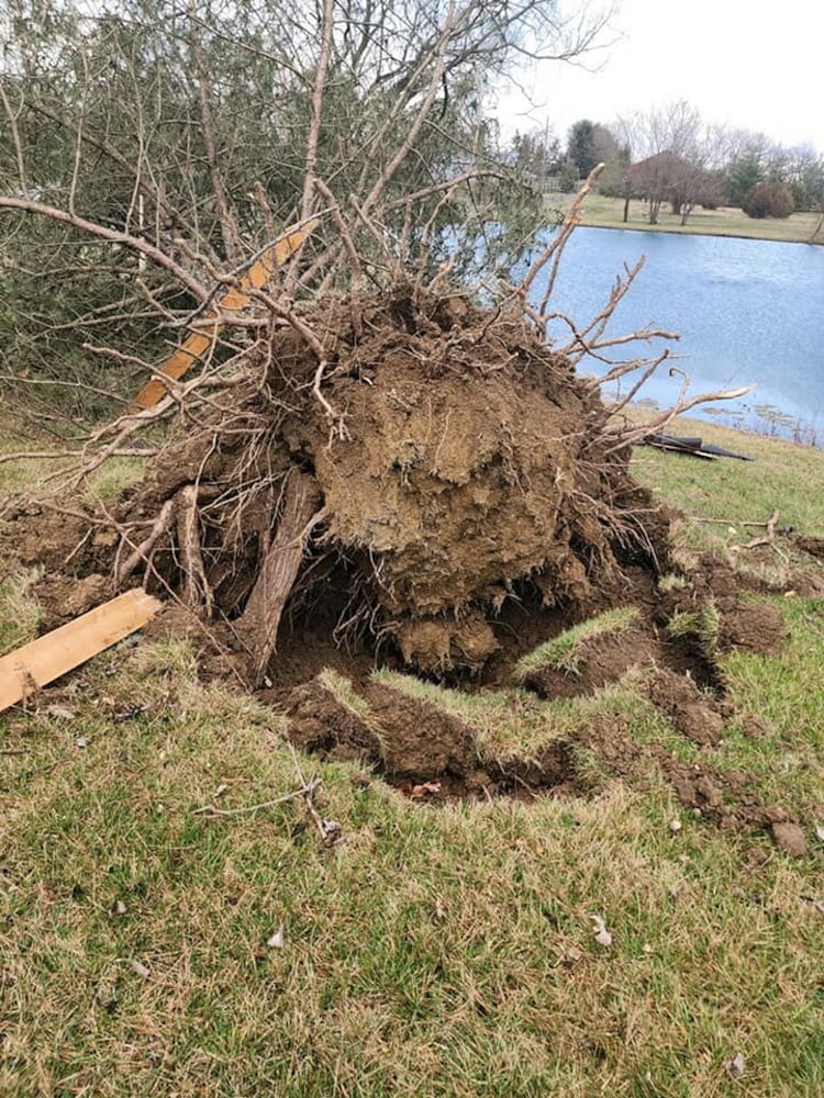 Weather damage Madison