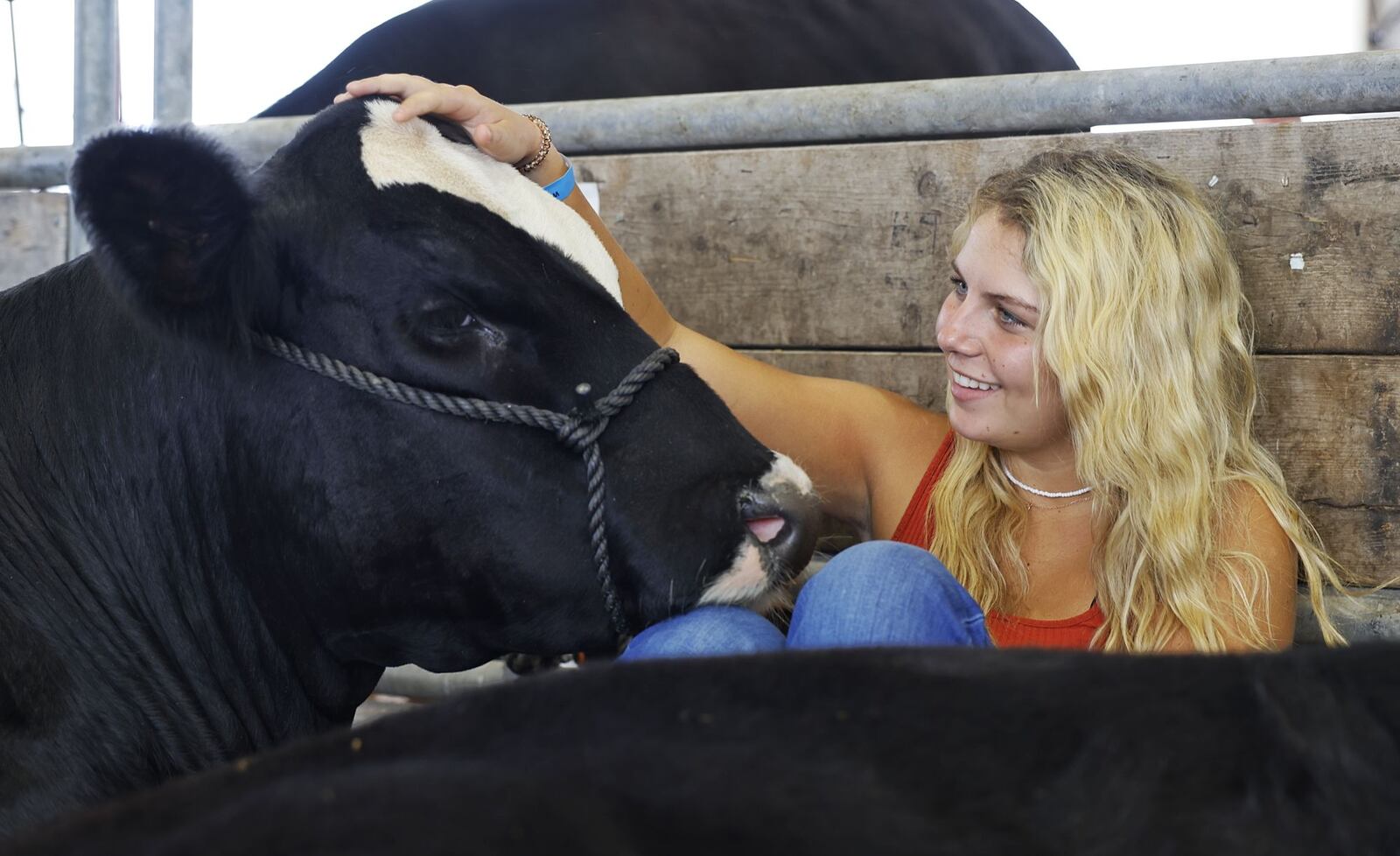 Ricky Jo Shinkle, 17, sits with her cow, Johnny, during the Warren County Fair Wednesday, July 19, 2023 in Lebanon. NICK GRAHAM/STAFF