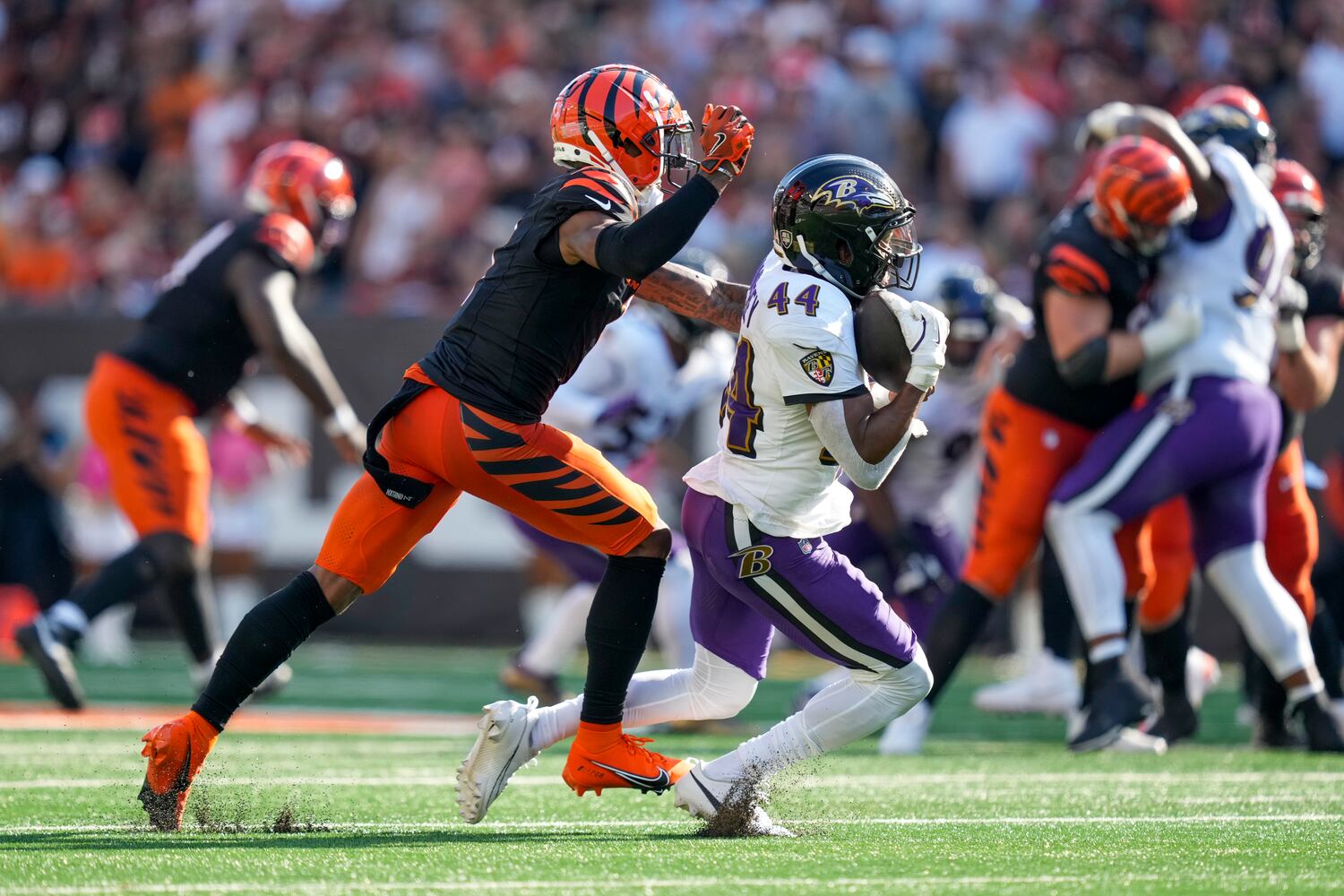 Ravens Bengals Football