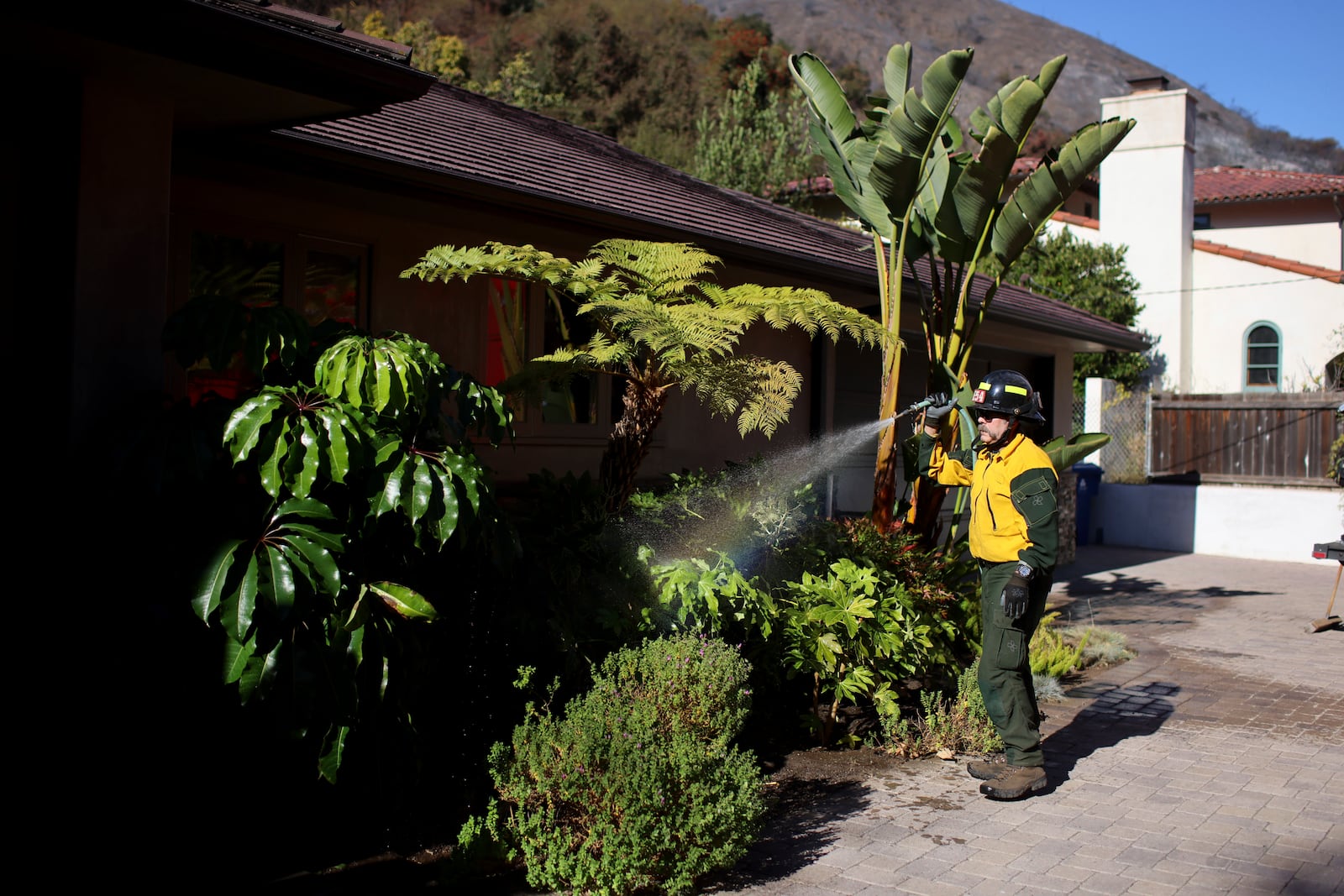 A firefighter hoses vegetation around a property while protecting structures from the Palisades Fire in Mandeville Canyon Tuesday, Jan. 14, 2025, in Los Angeles. (AP Photo/Ethan Swope)