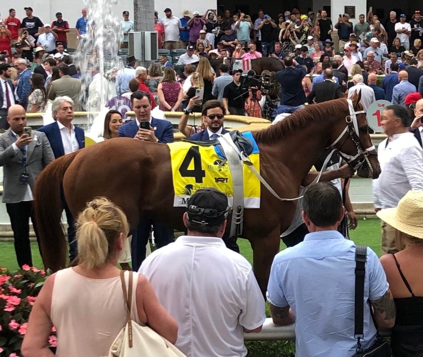 Mage, partly owned by Rick Gleason and Helen Stevens-Gleason, of Middletown, finished second in the Florida Derby April 1 at Gulfstream Park. Mage is running Saturday in the 149th Kentucky Derby. SUBMITTED PHOTO