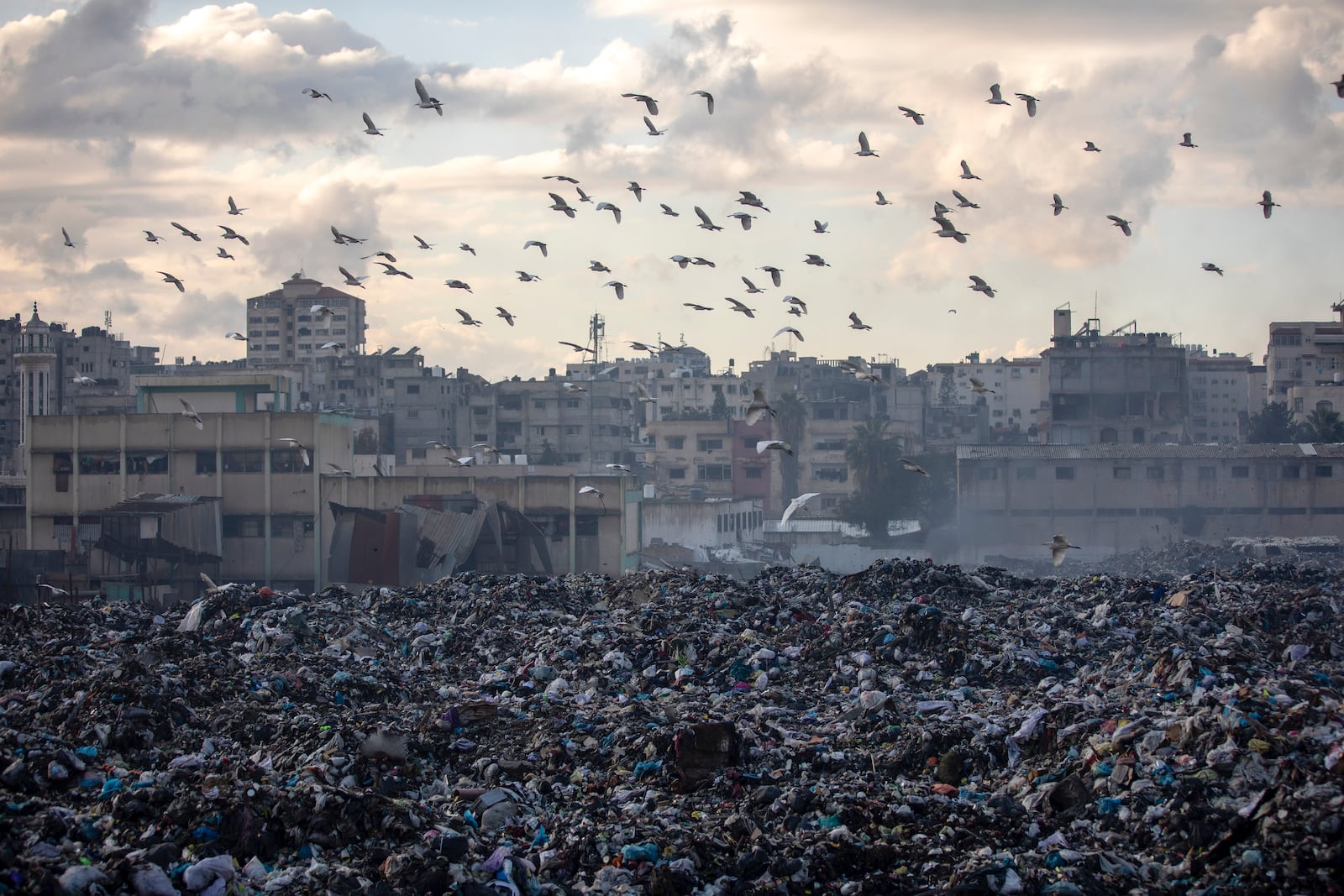 Birds fly over a pile of garbage, as there is no refuse collection in the city and people are disposing of their rubbish in the streets, in Gaza City, Wednesday, Feb. 12, 2025. (AP Photo/Jehad Alshrafi)