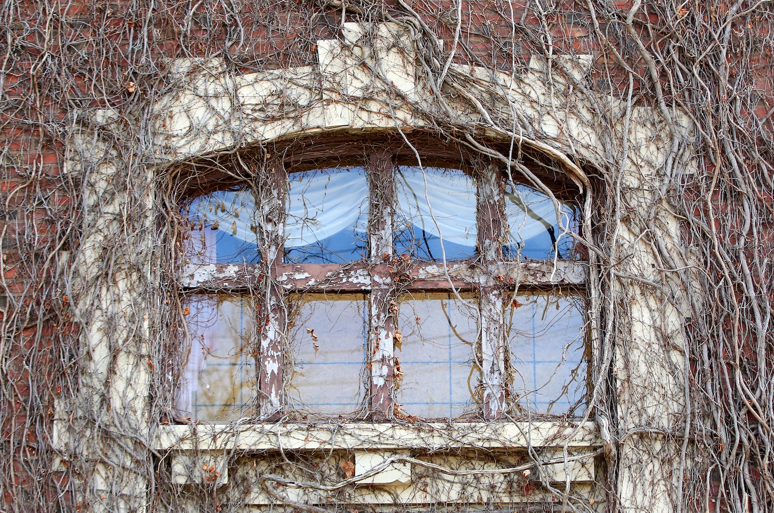 PHOTOS: Vacant for a decade, the elegance of Dayton’s Traxler Mansion is still recognizable