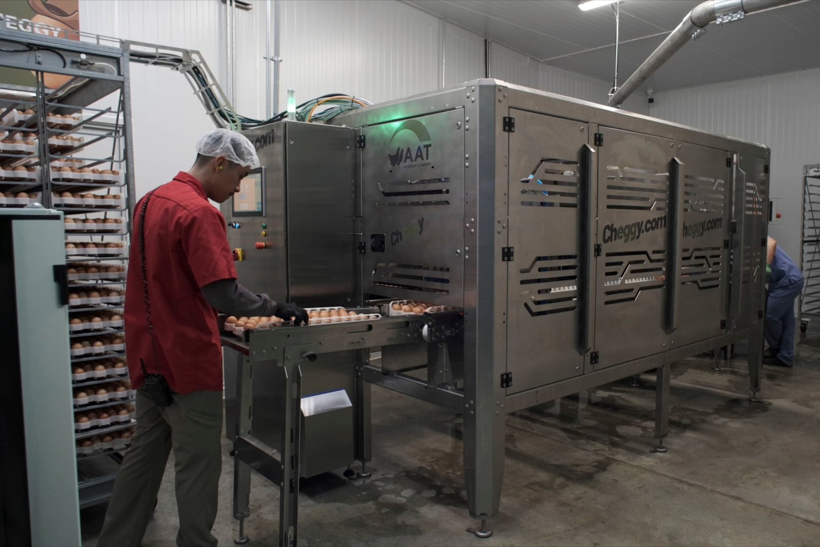 A worker guides a tray of chicken eggs into a machine that provides a new technique to enable hatcheries to peek into millions of fertilized eggs and spot male embryos, then grind them up for other uses before they mature into chicks, in Wilton, Iowa, Dec. 10, 2024. This is an alternative to the longstanding practice of chick culling when male chicks are killed because they have little monetary value since they do not lay eggs. (Courtesy Tony Reidsma via AP)