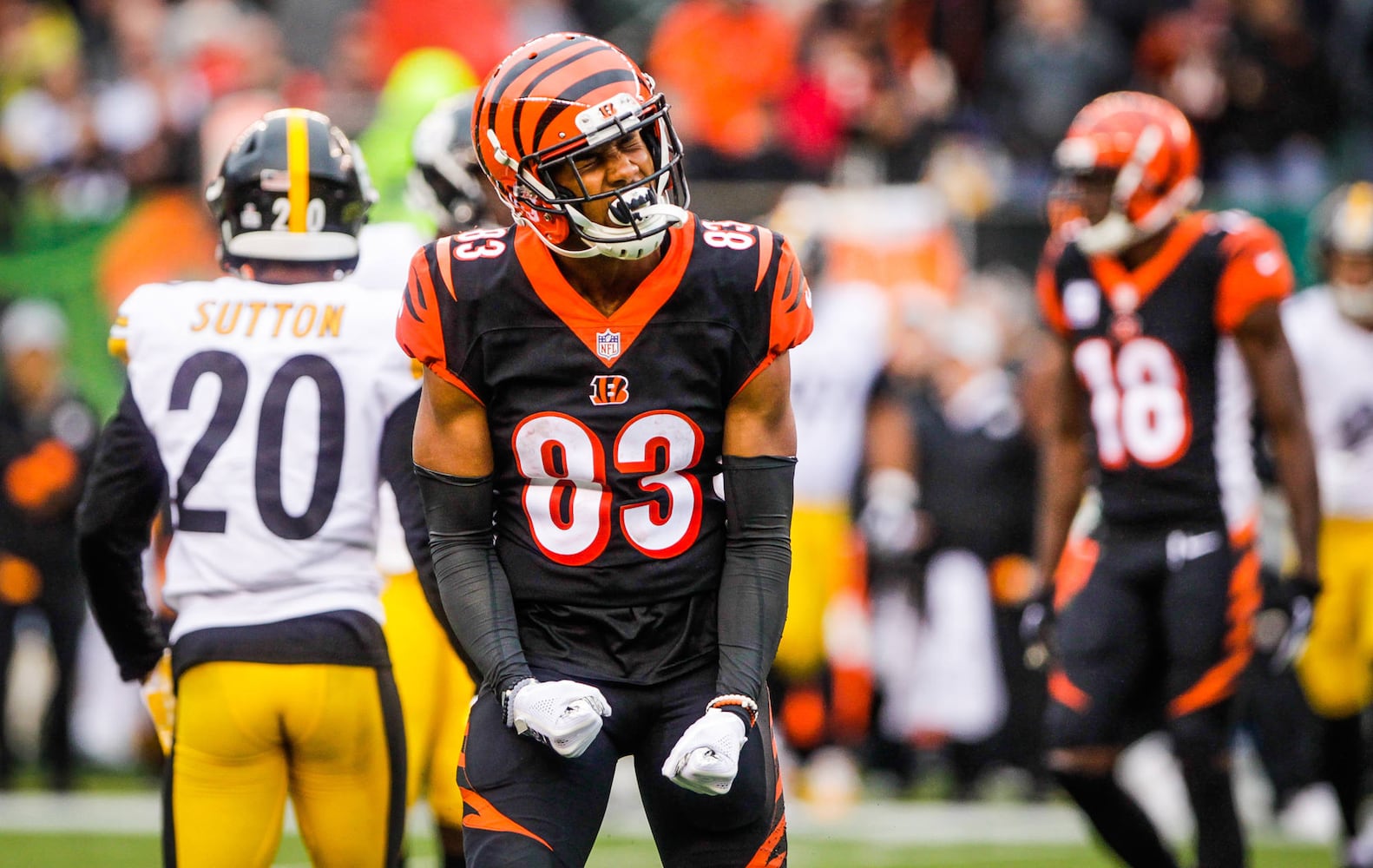 Cincinnati Bengals vs Pittsburgh Steelers football