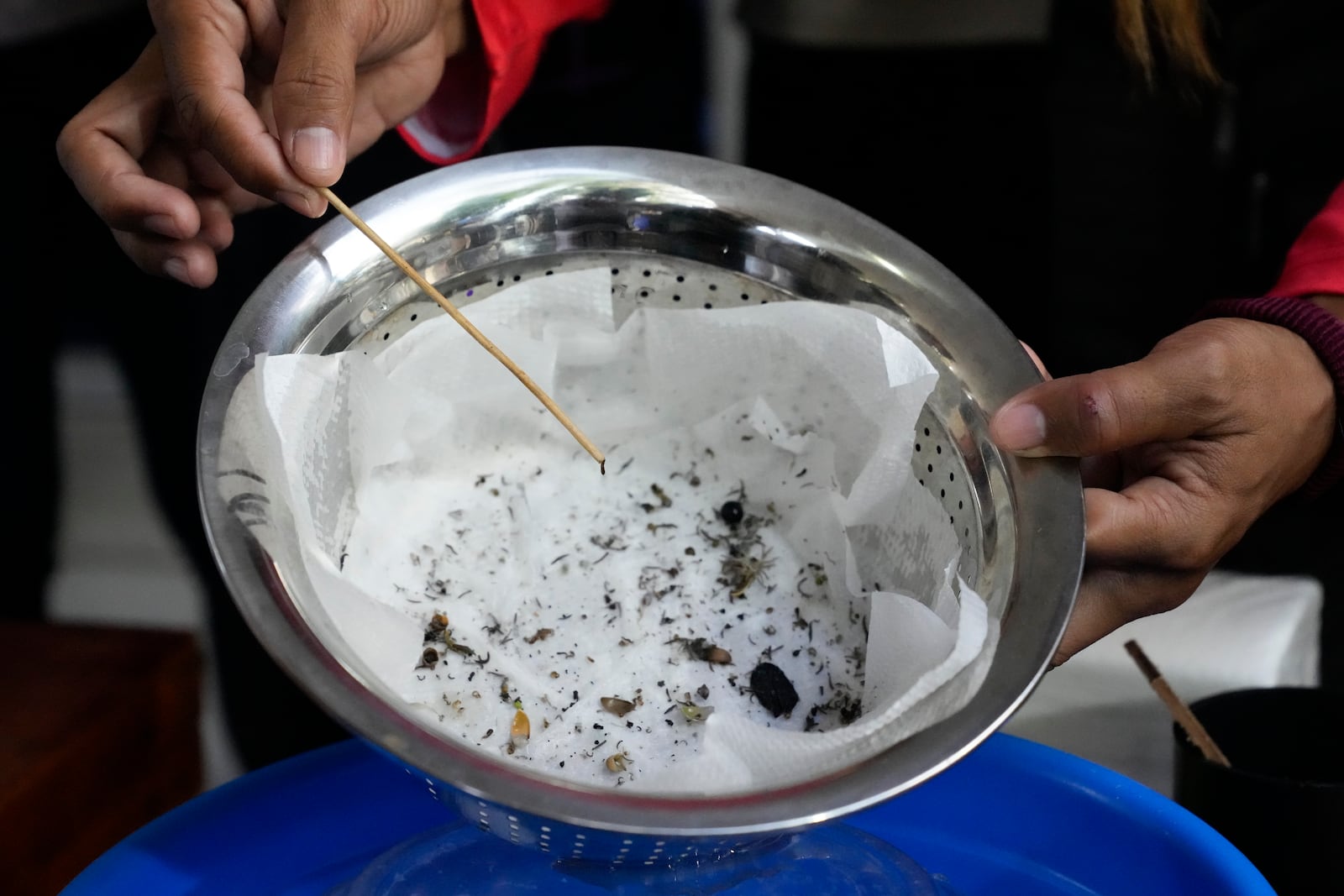 A village official counts the number of mosquito larvae captured by a resident in Mandaluyong city, Philippines as their village started offering bounty for captured mosquitos, dead or alive, as part of an anti-dengue campaign on Wednesday, Feb. 19, 2025. (AP Photo/Aaron Favila)