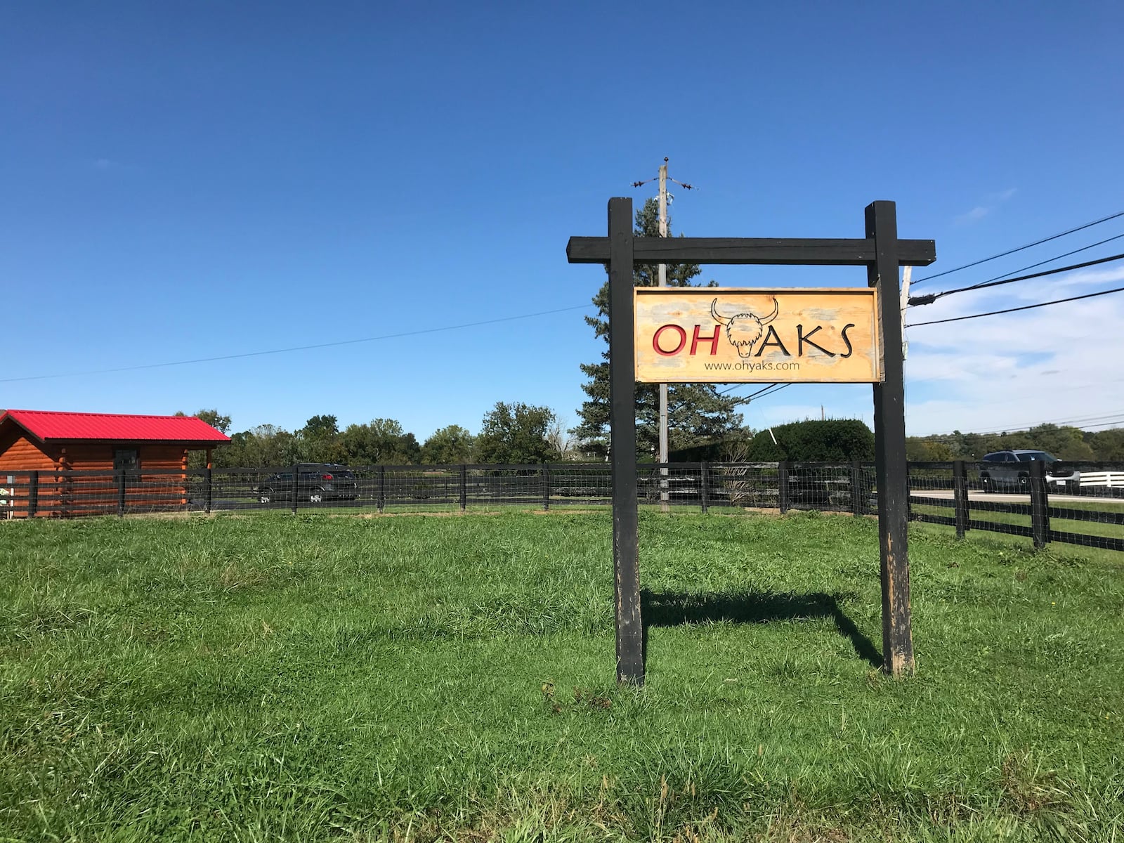 OH Yaks in Lebanon is the largest registered yak farm in Ohio.