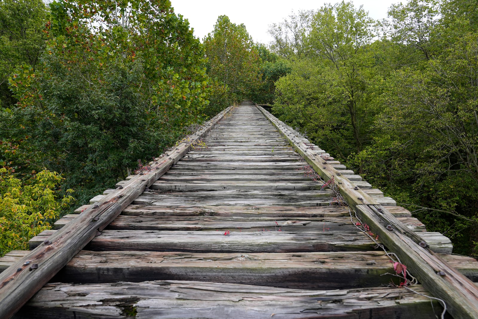 The Monon High Bridge at the end of the Monon High Bridge Trail is shown in Delphi, Ind., Tuesday, Oct. 1, 2024. (AP Photo/Michael Conroy)