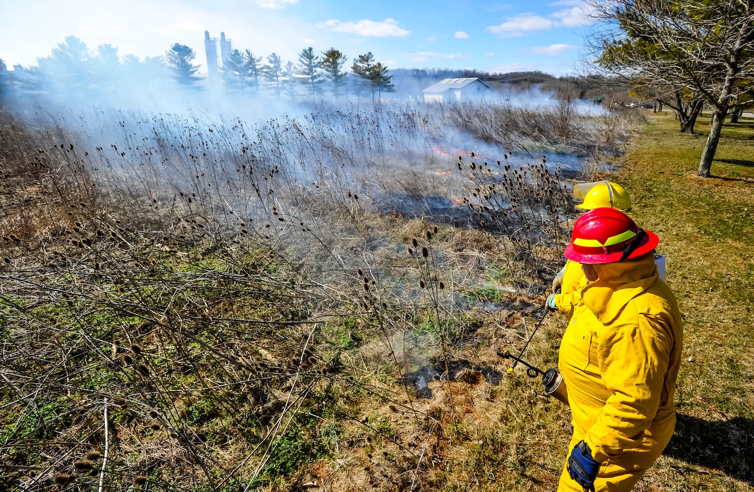 Controlled burns at Riverside Natural Area in Hamilton