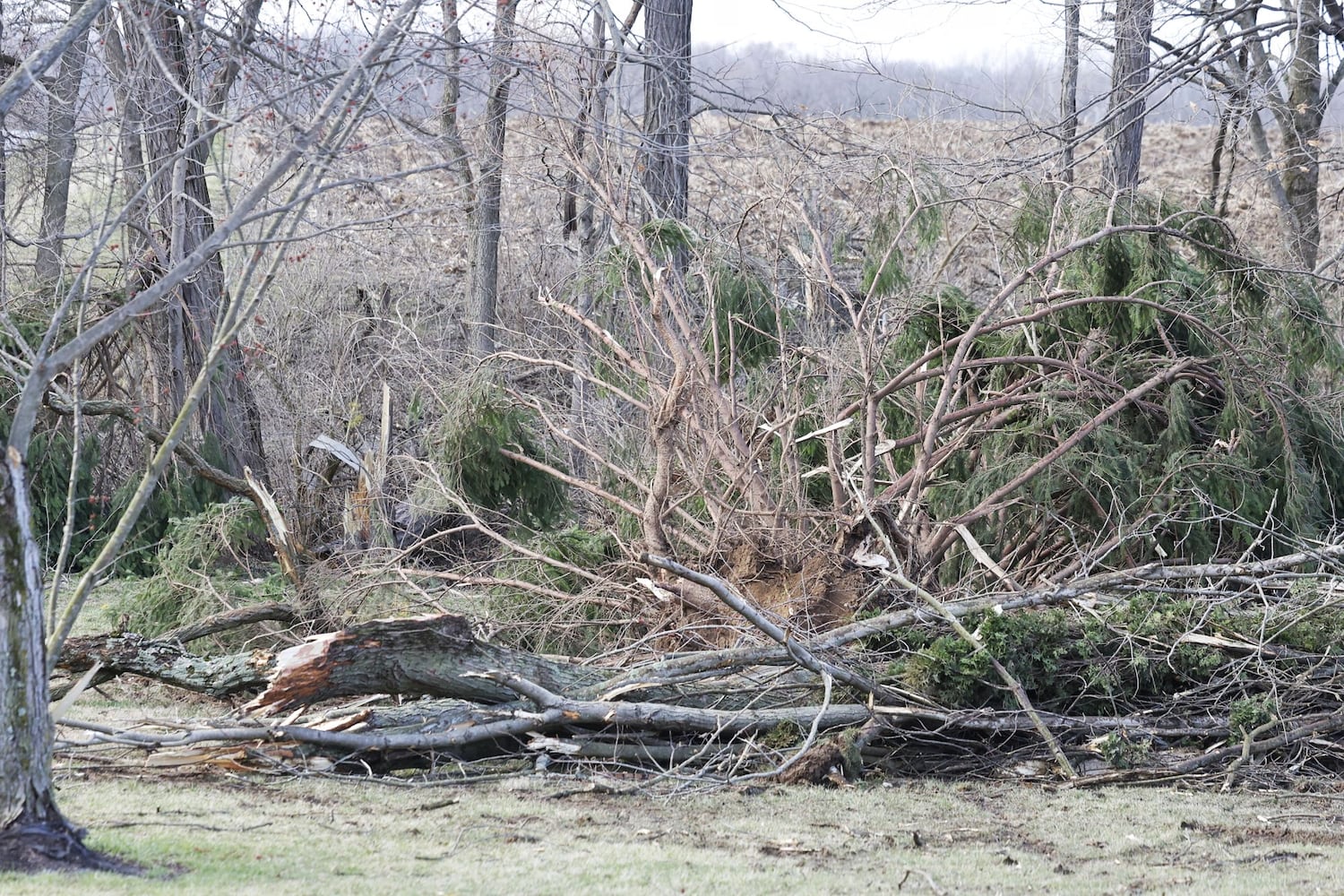 022723 tornado damaged butler county