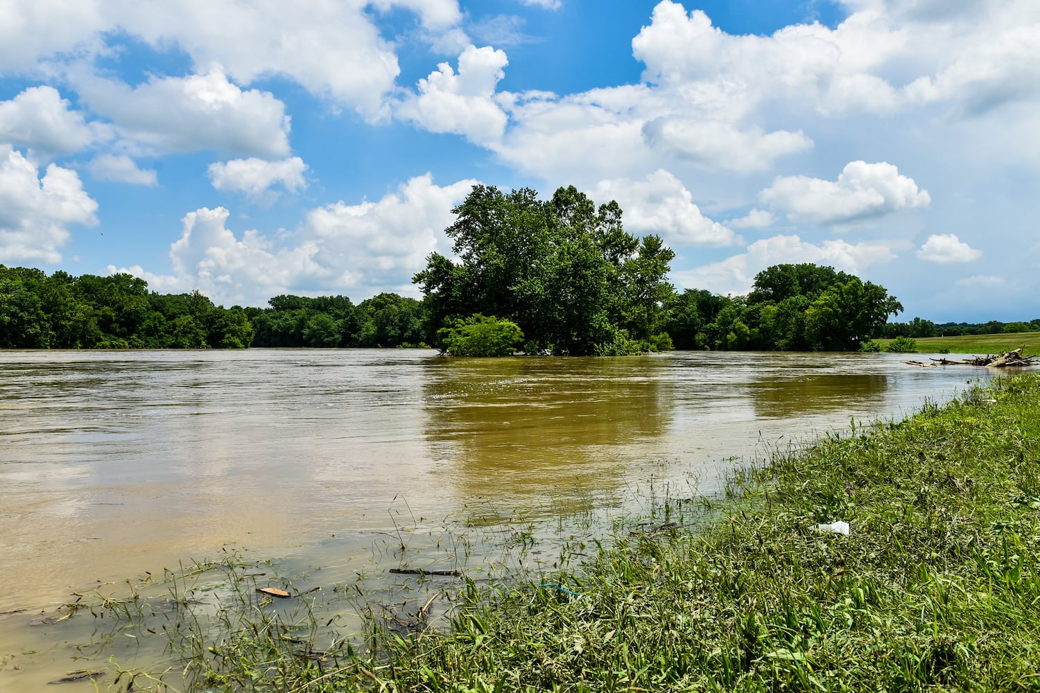 Great Miami River level higher than normal after  heavy rain