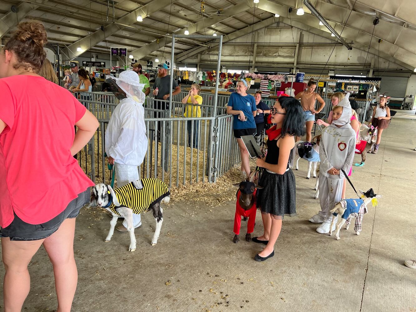 Warren County Fair 2024