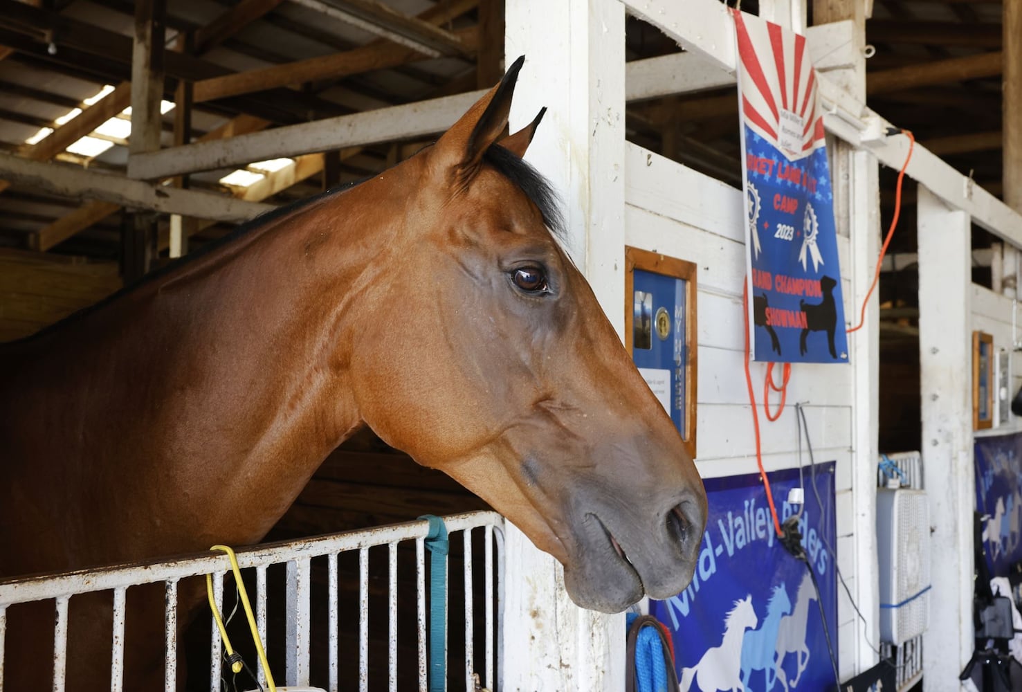 071923 Warren County Fair