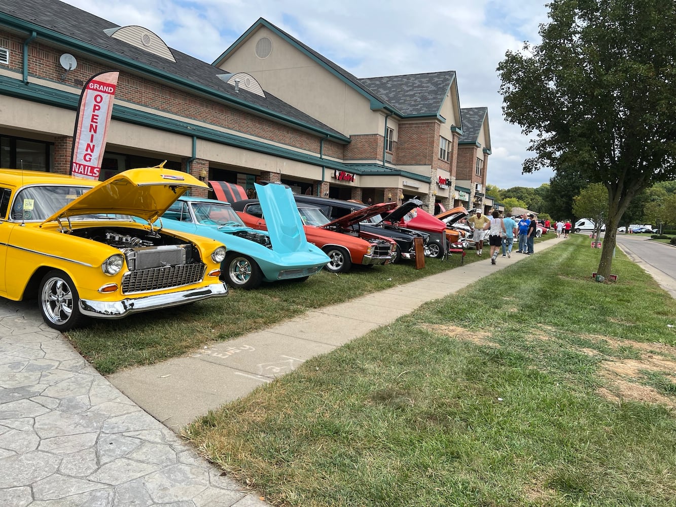 Village Green Auto Show