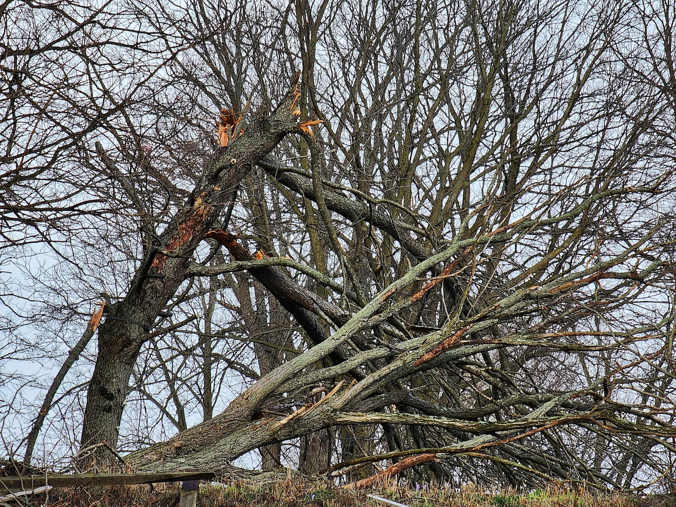 022723 tornado damaged butler county