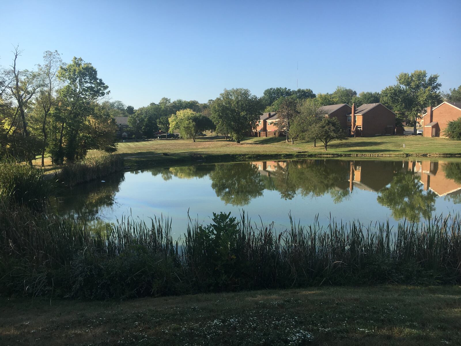 A father and daughter were recovered dead from this pond at the Villages of Wildwood off Ross Road in Fairfield after a truck went into the pond on Monday night, Sept. 30, 2019. MICHAEL D. PITMAN / STAFF